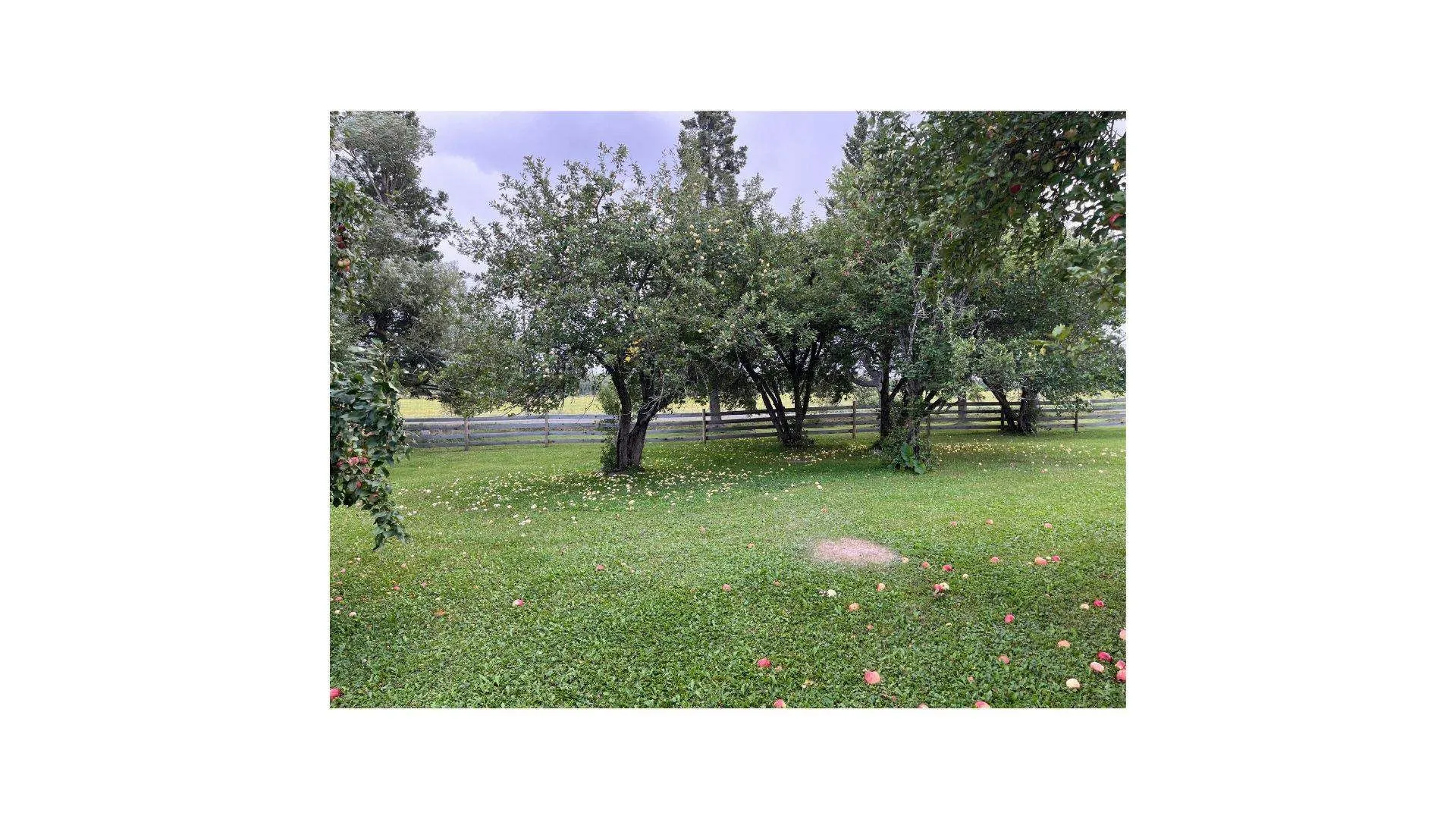 300 Plummer Road