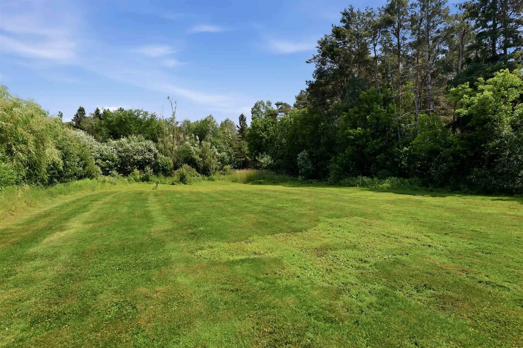 382 Nixon Road
