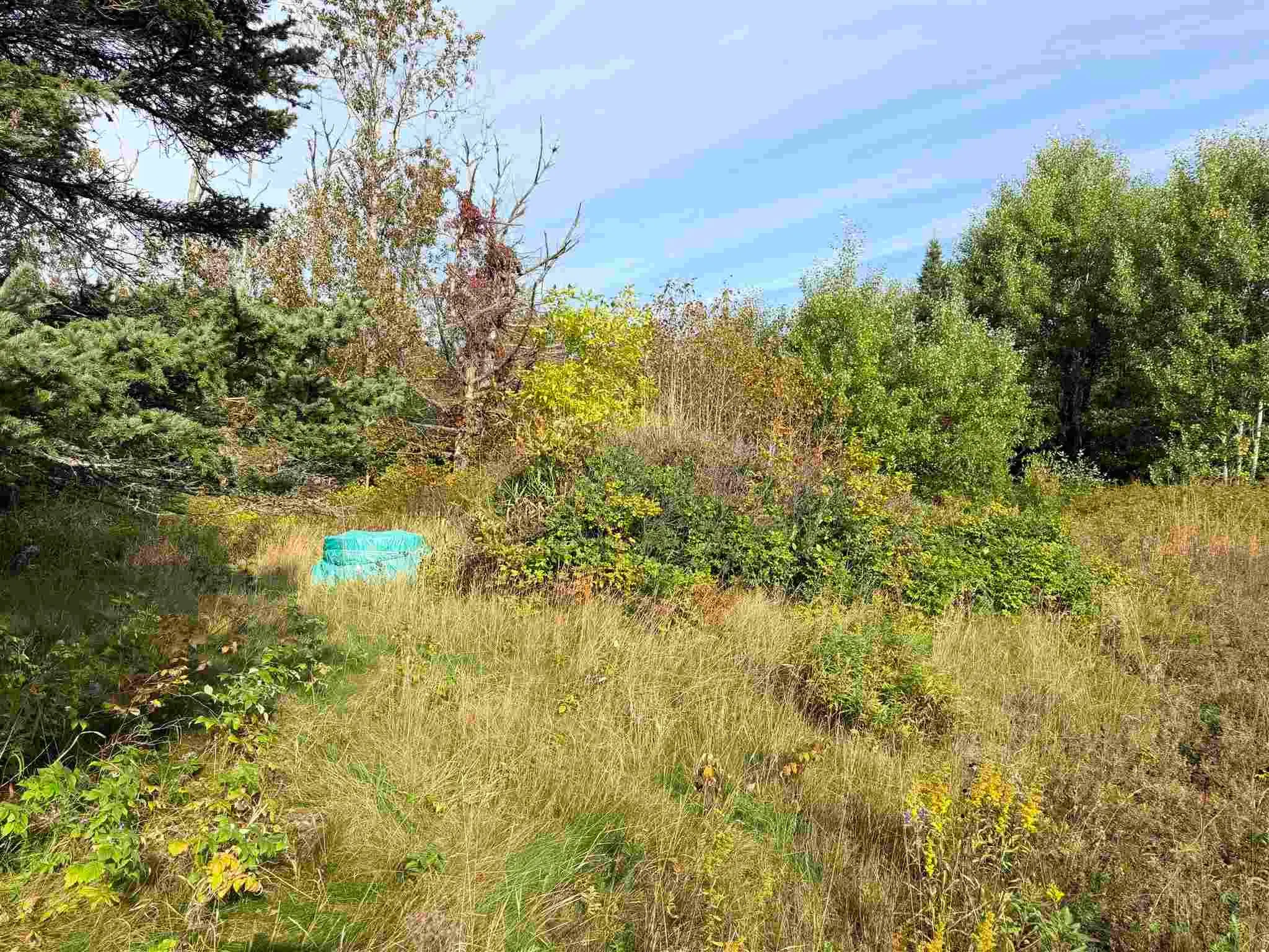 11934 Highway 17