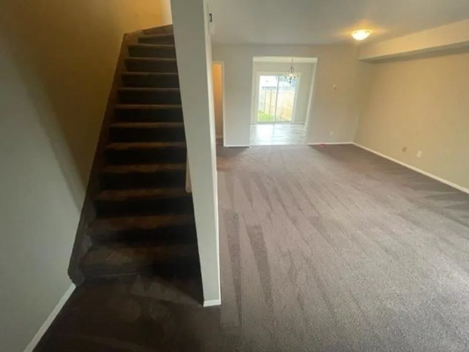11 Forest Place