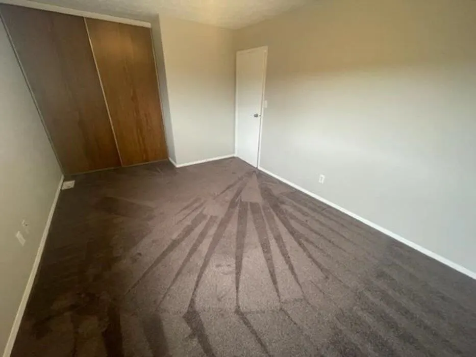 11 Forest Place