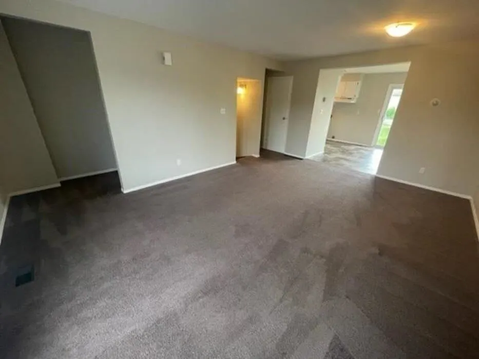 11 Forest Place