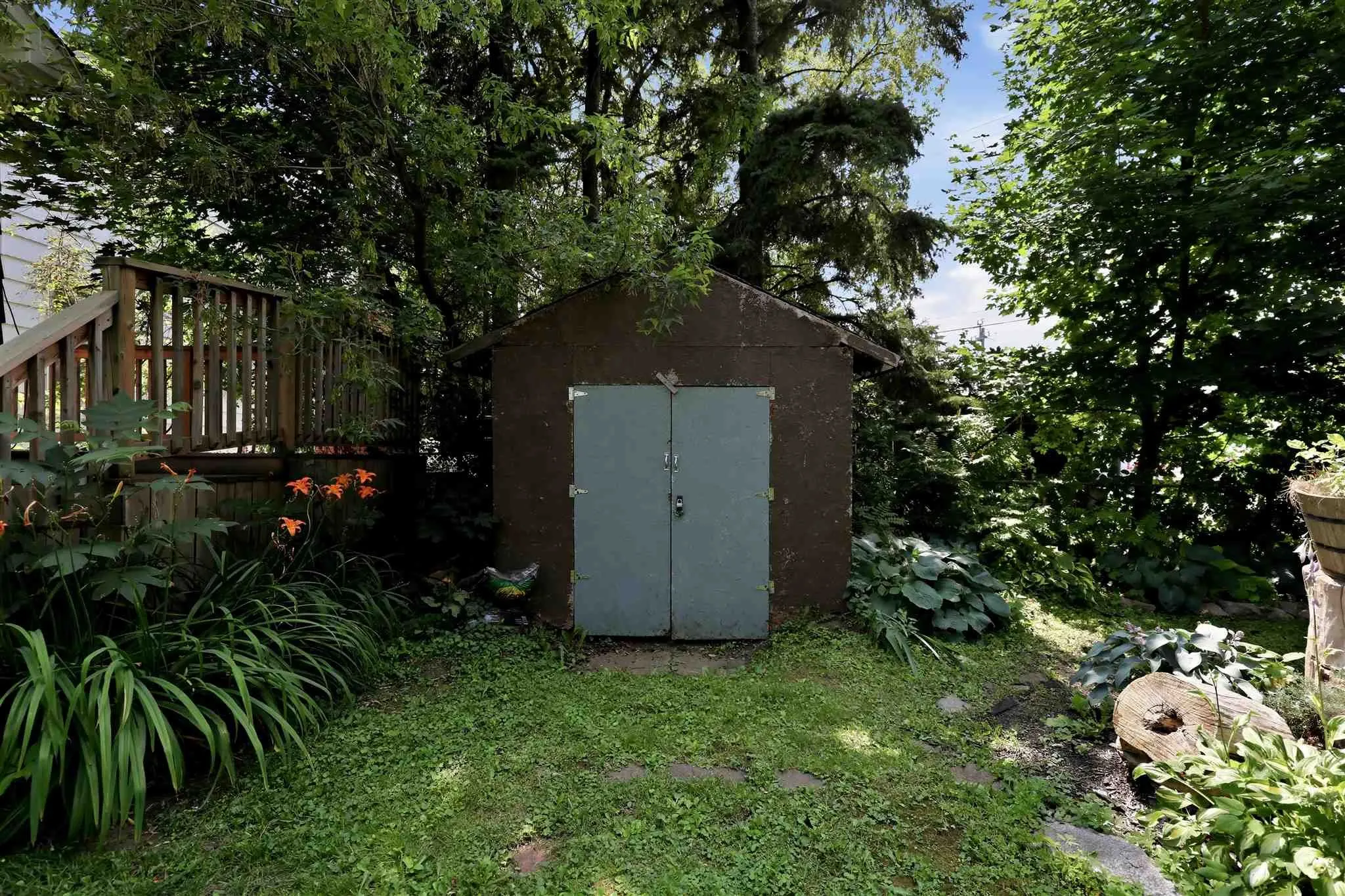 317 Wilson Street