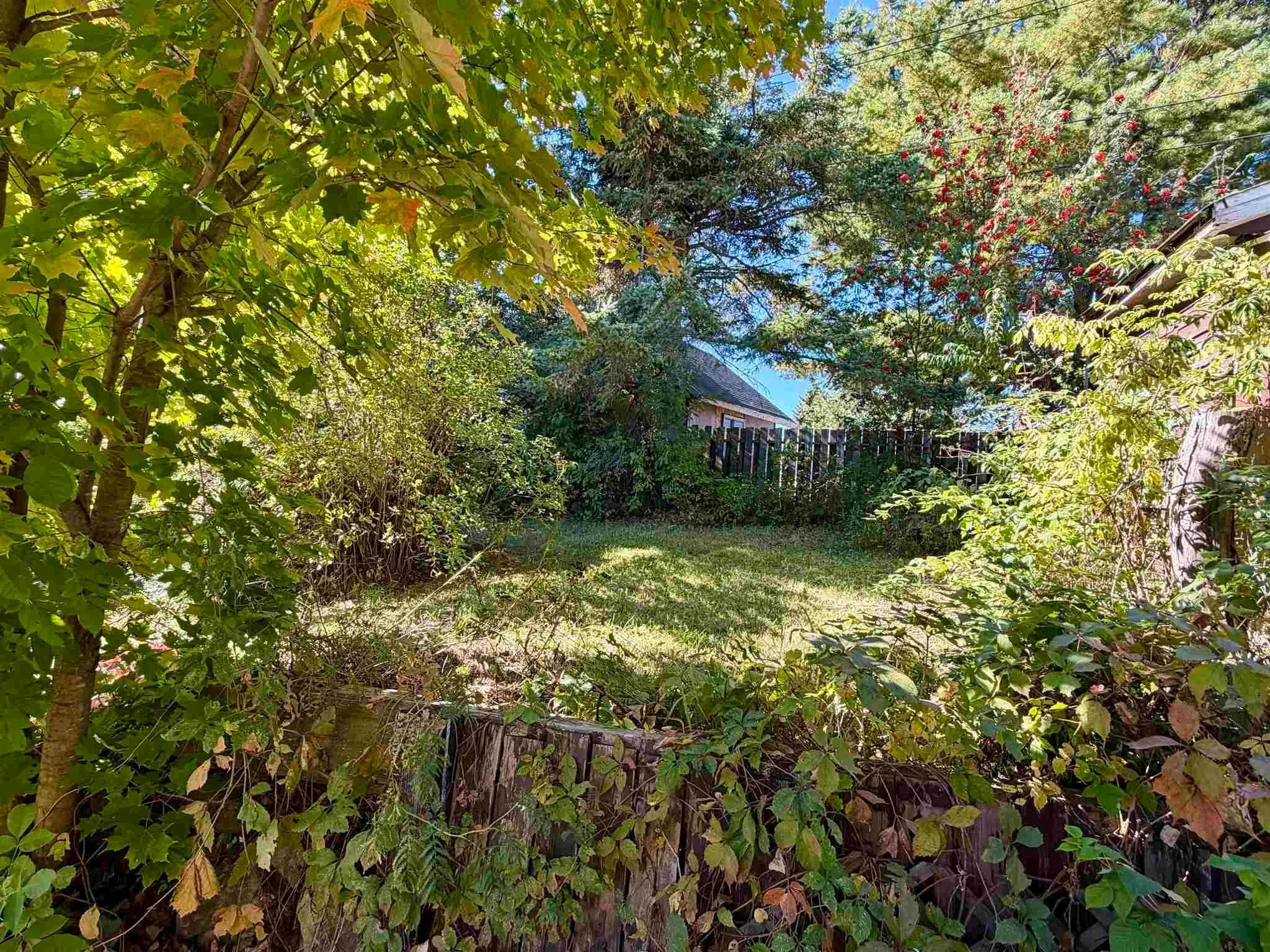 135 Dieppe Avenue