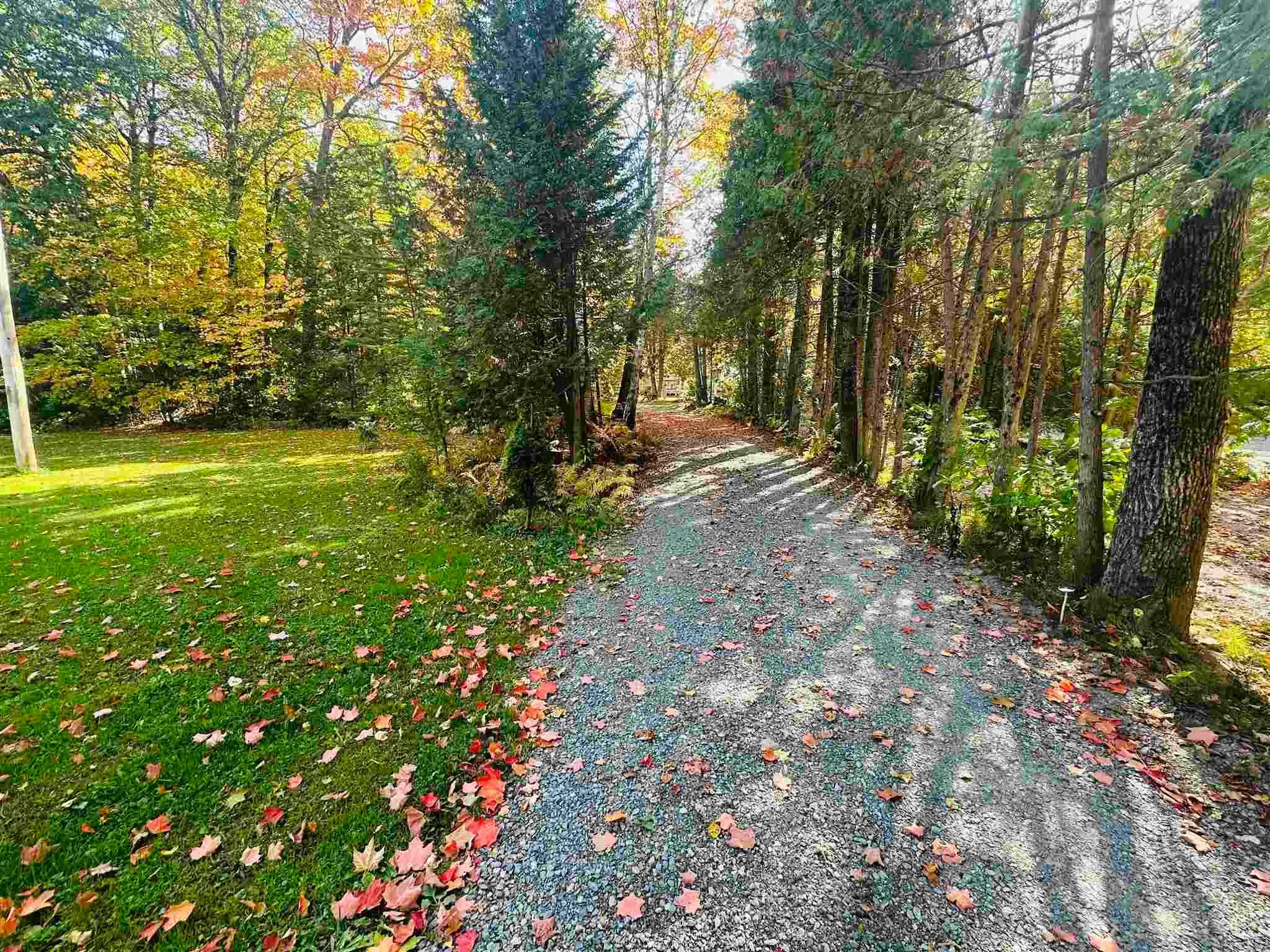 96 Olar Side Road