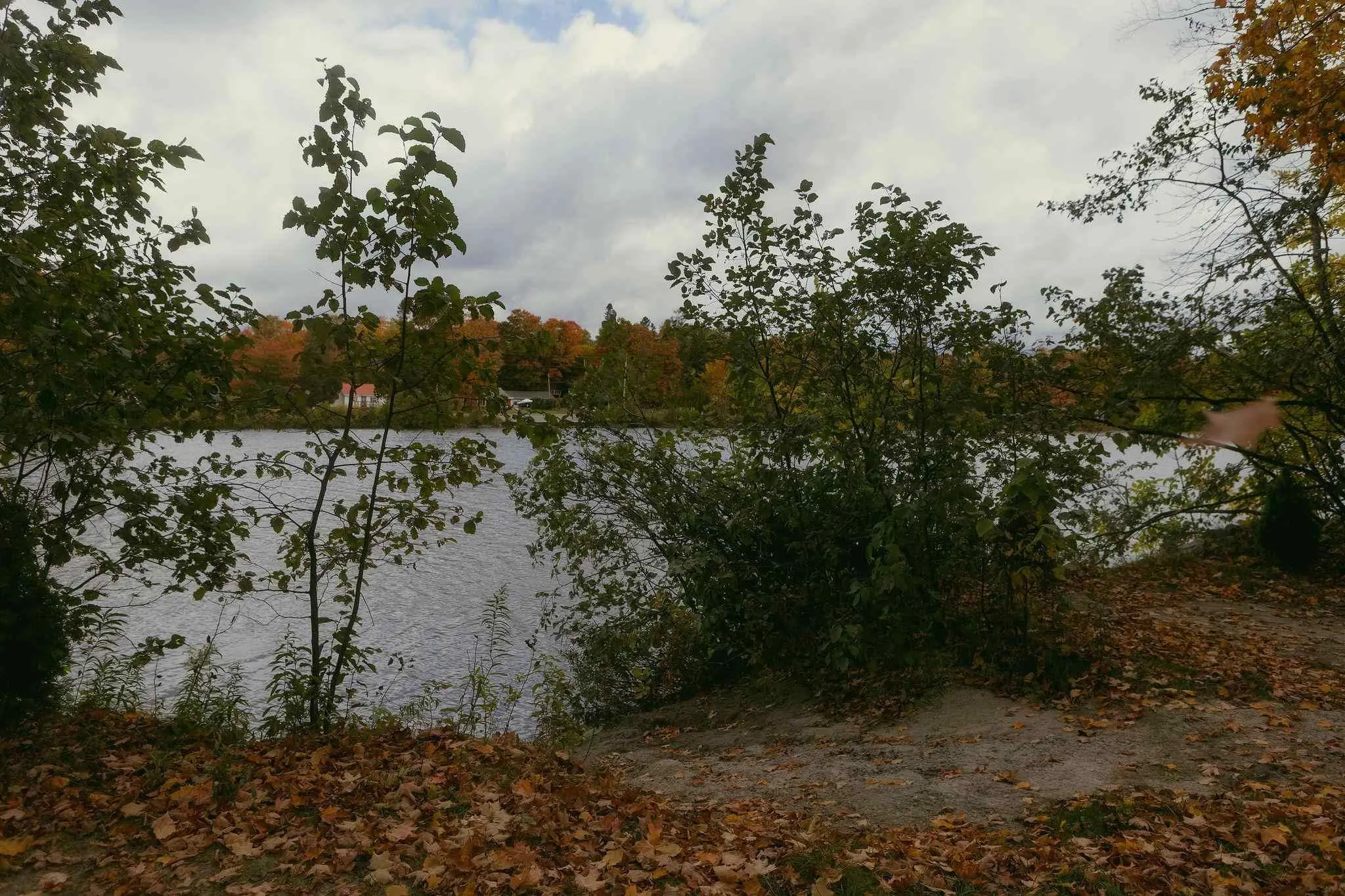 96 Olar Side Road