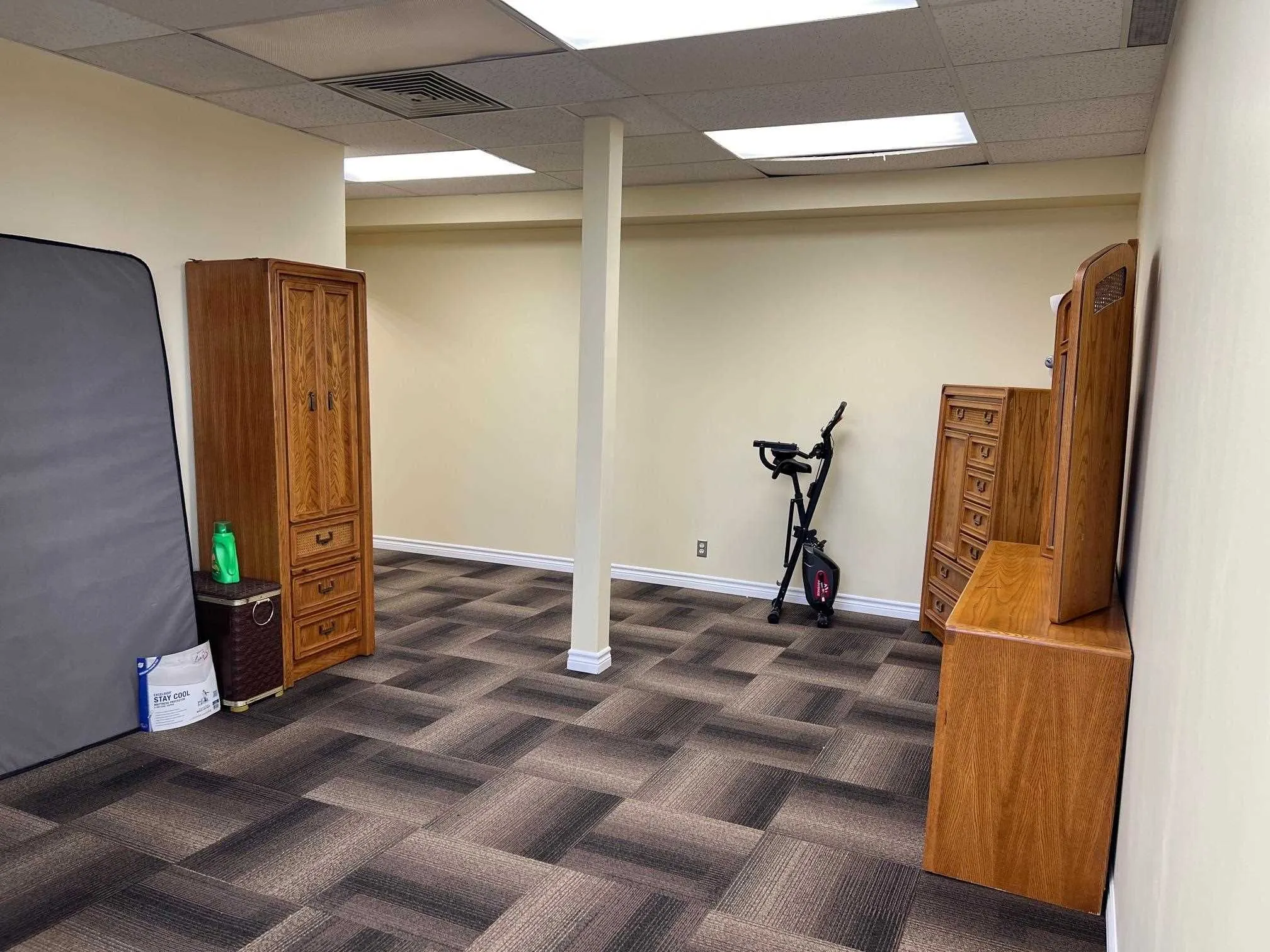 19 Woodward Avenue