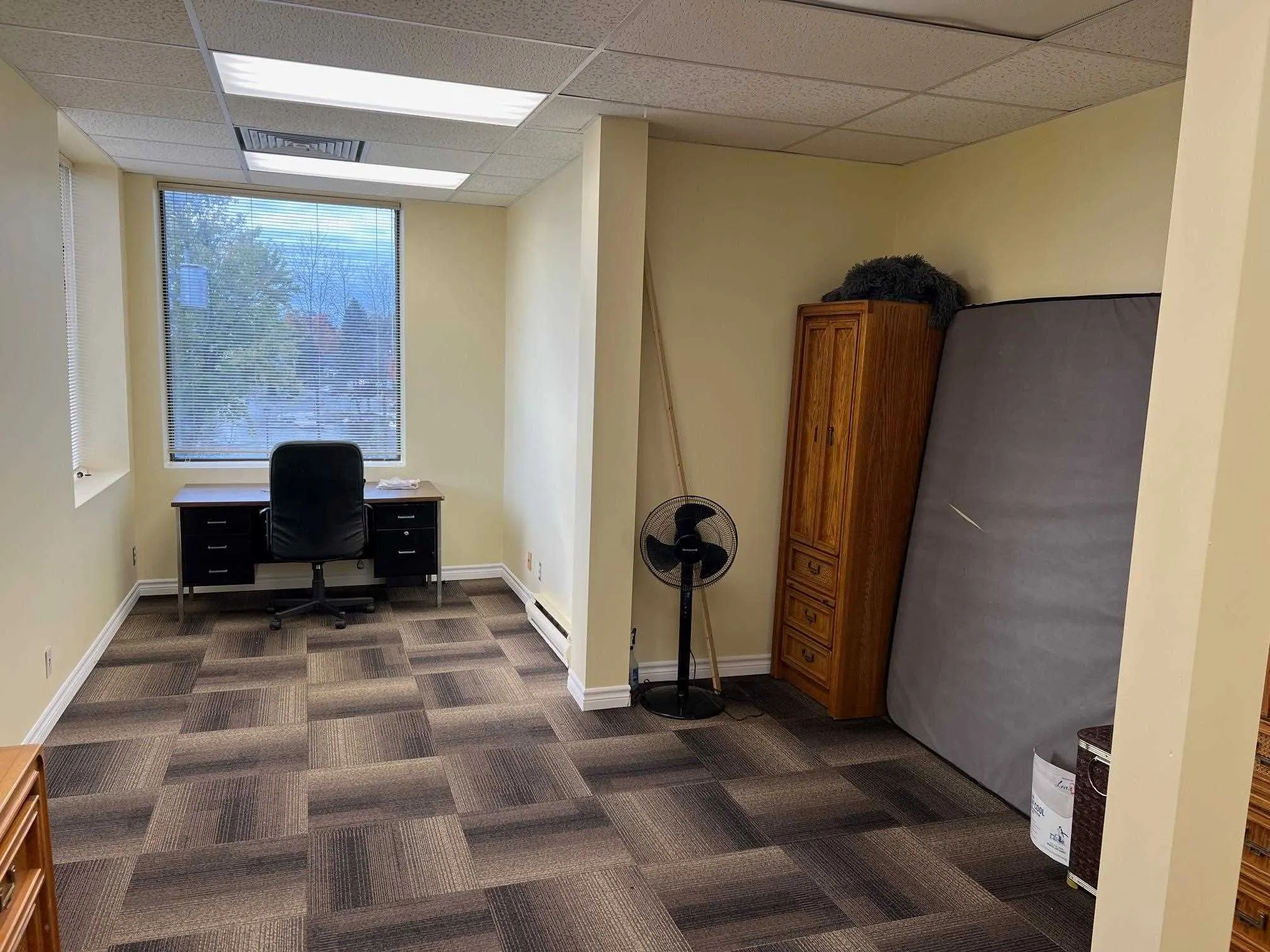 19 Woodward Avenue