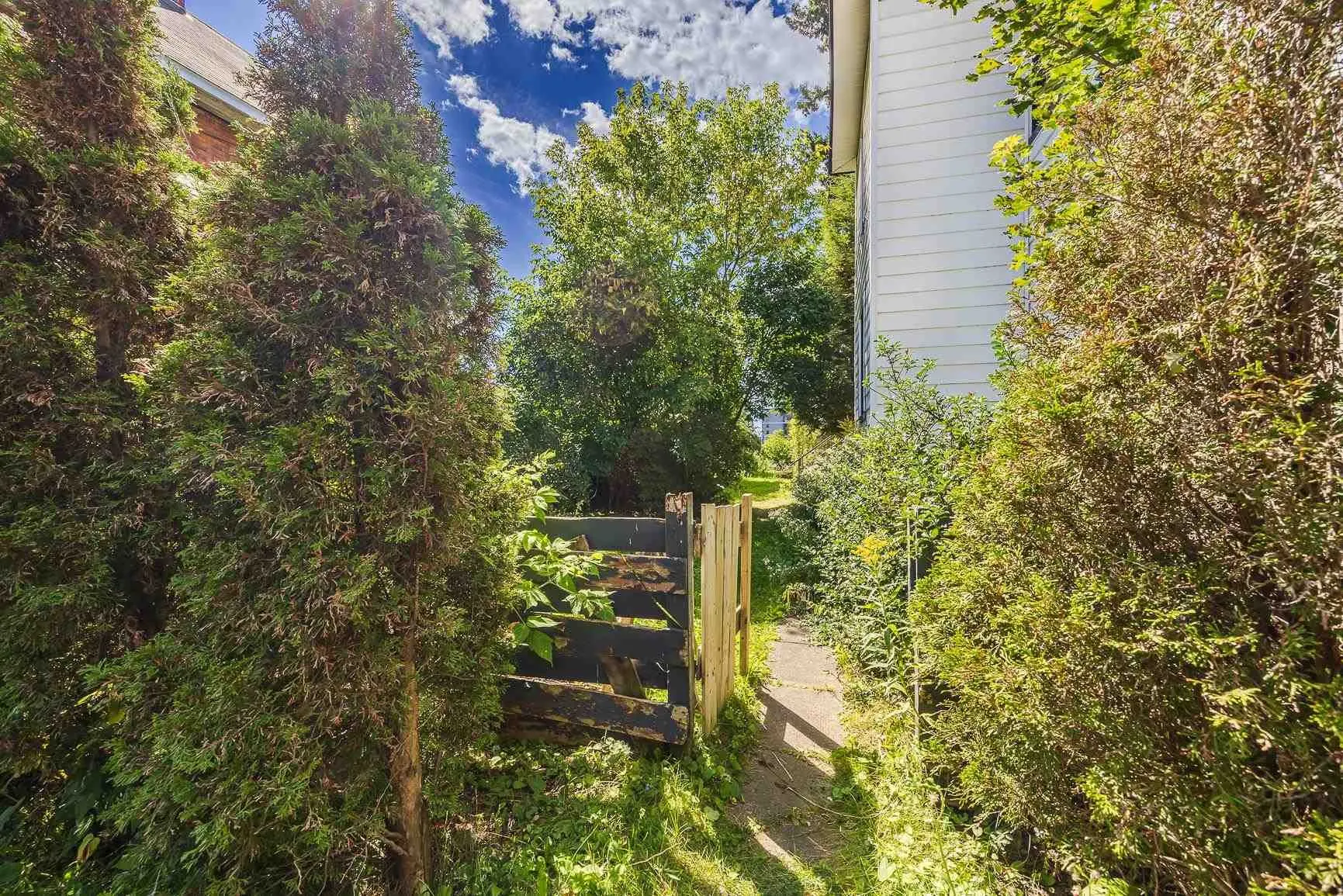 151 Albert Street E