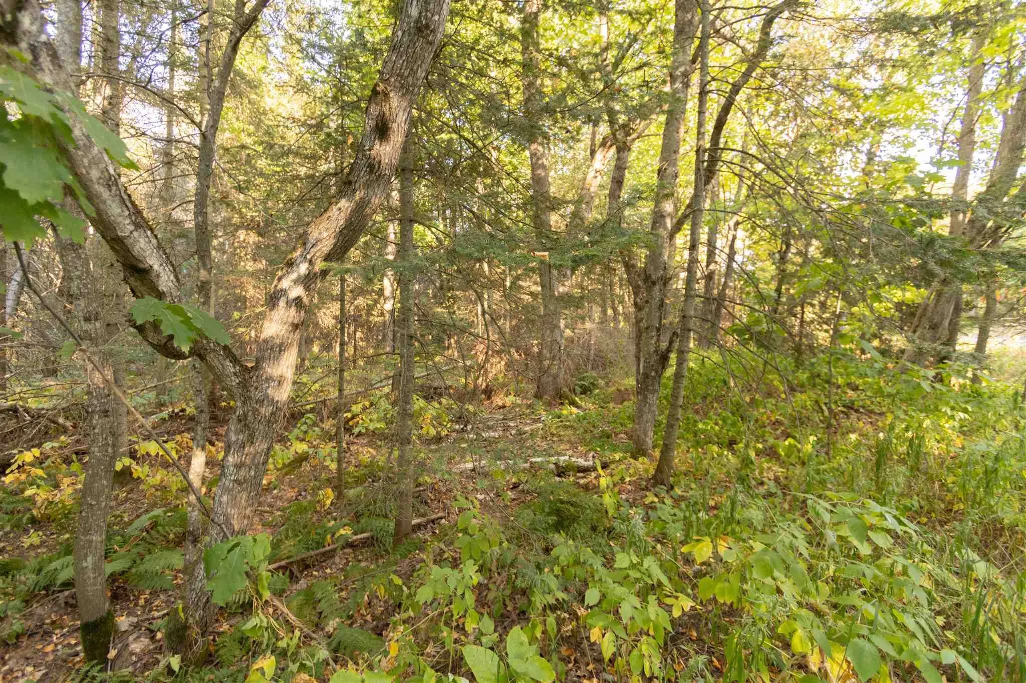 Lot 14&15 Nokomis Beach Road