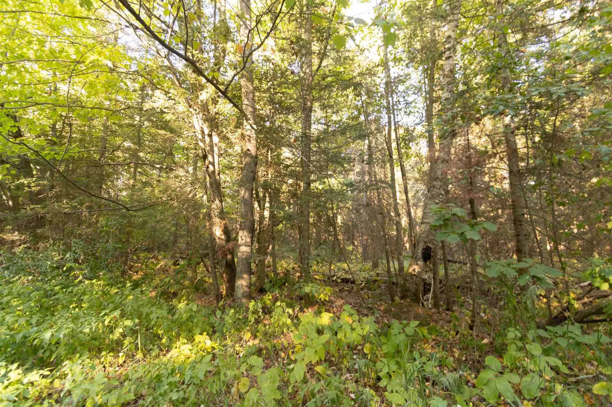Lot 14&15 Nokomis Beach Road