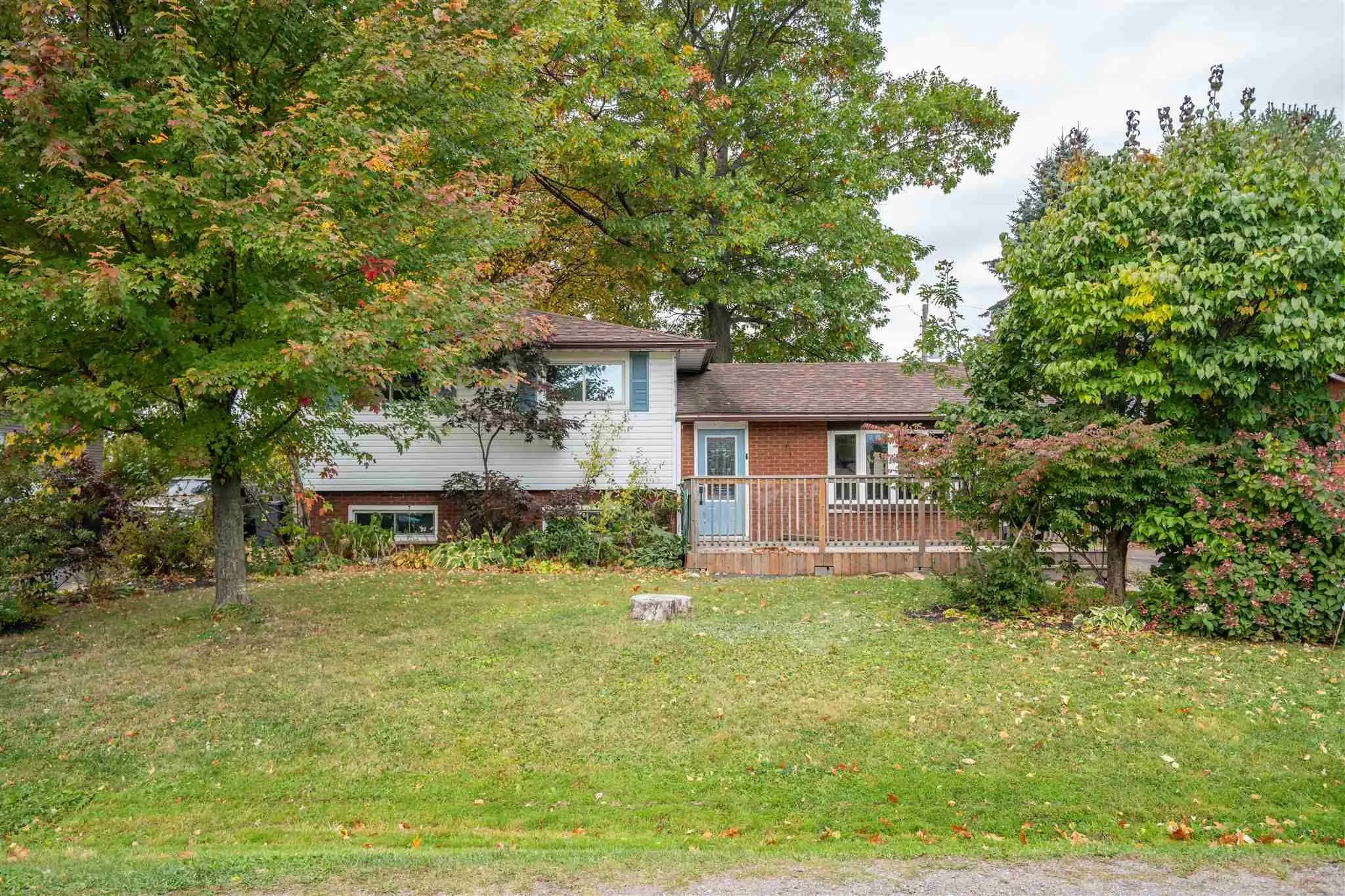 41 Peach Drive