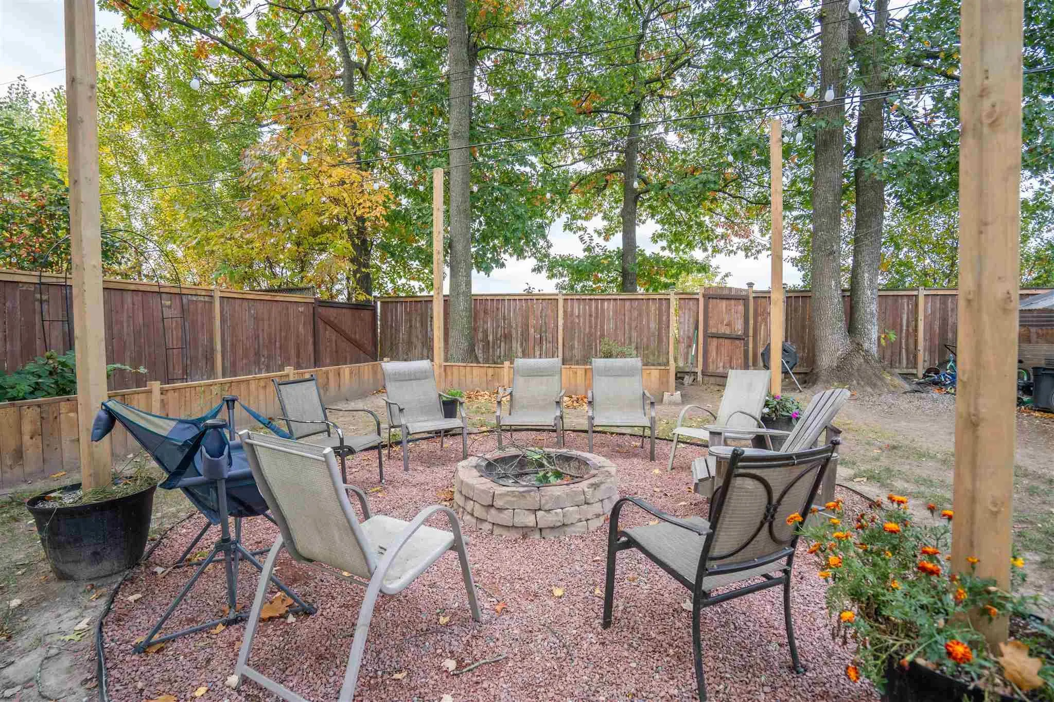 41 Peach Drive