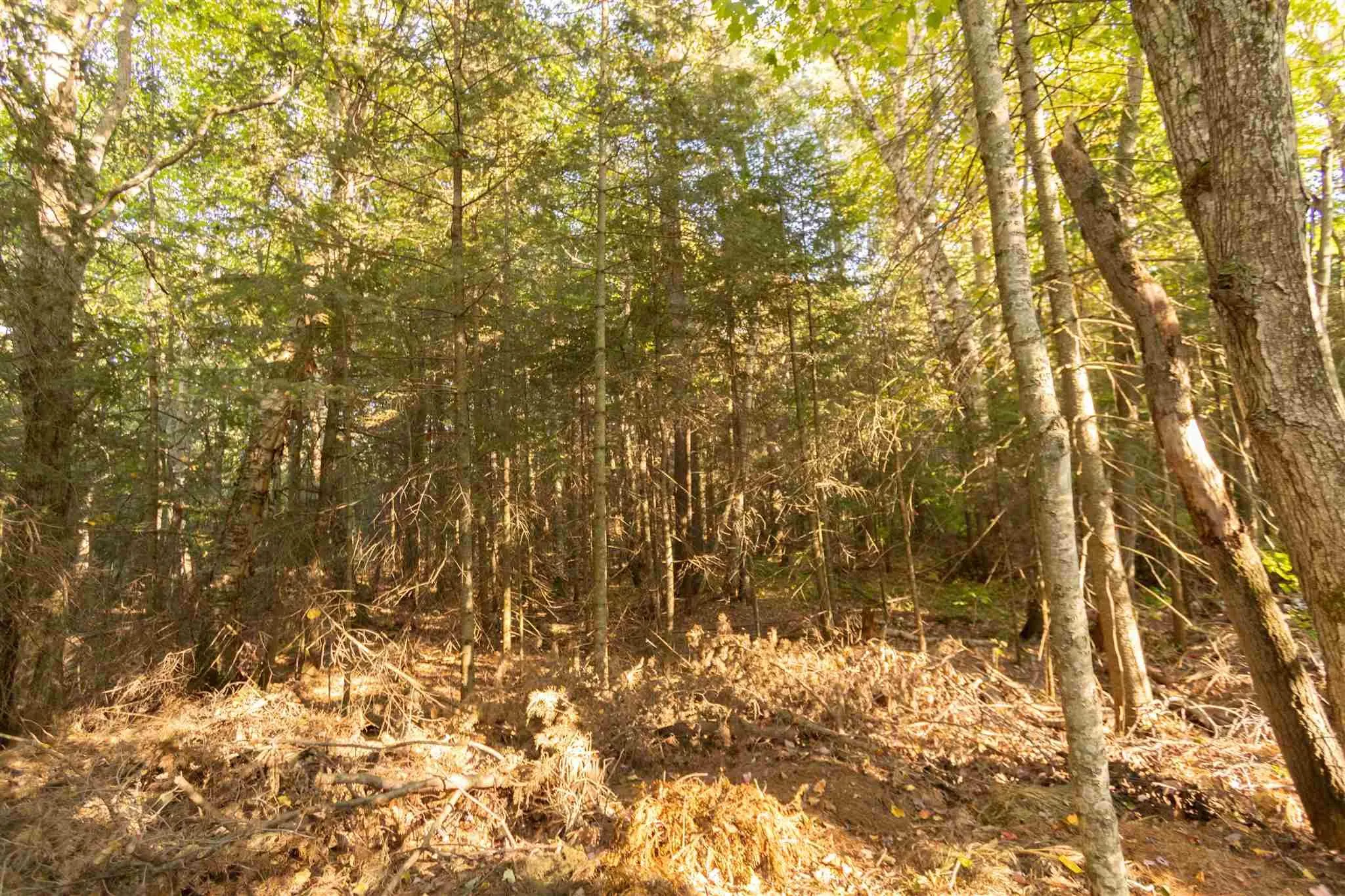Lot 16 Nokomis Beach Road