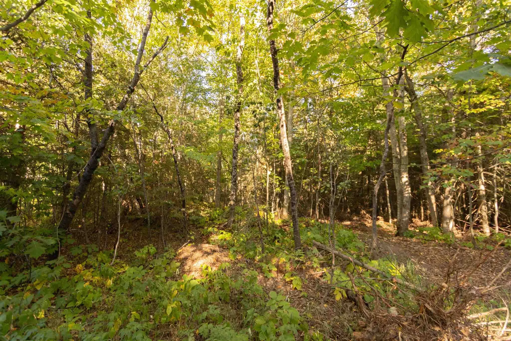 Lot 16 Nokomis Beach Road