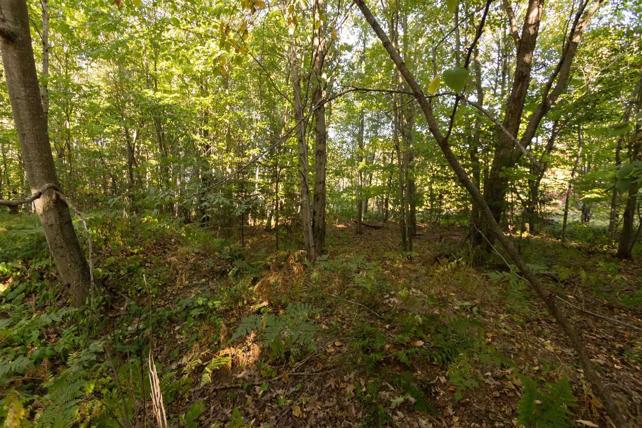 Lot 19 Nokomis Beach Road
