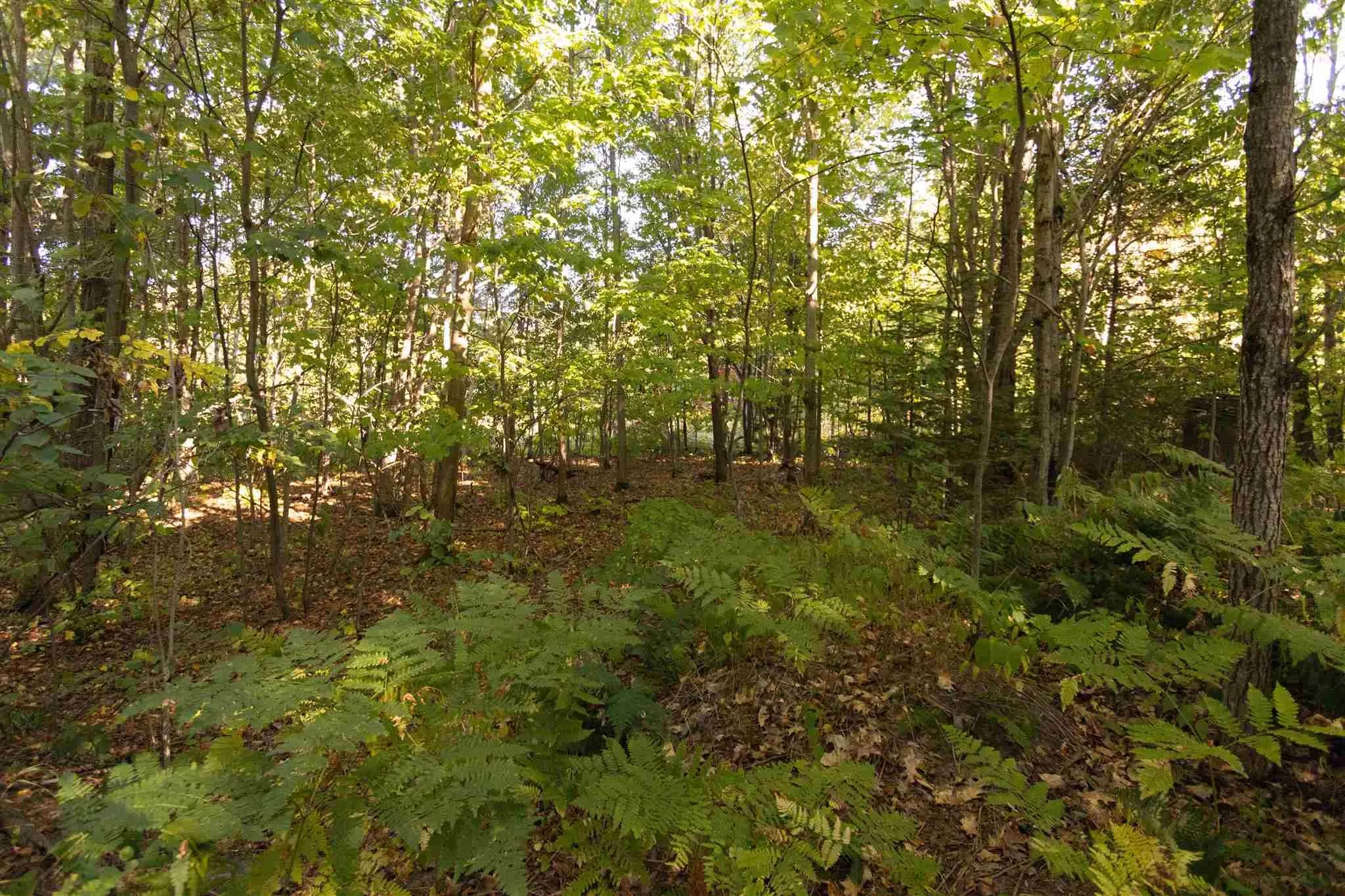 Lot 19 Nokomis Beach Road