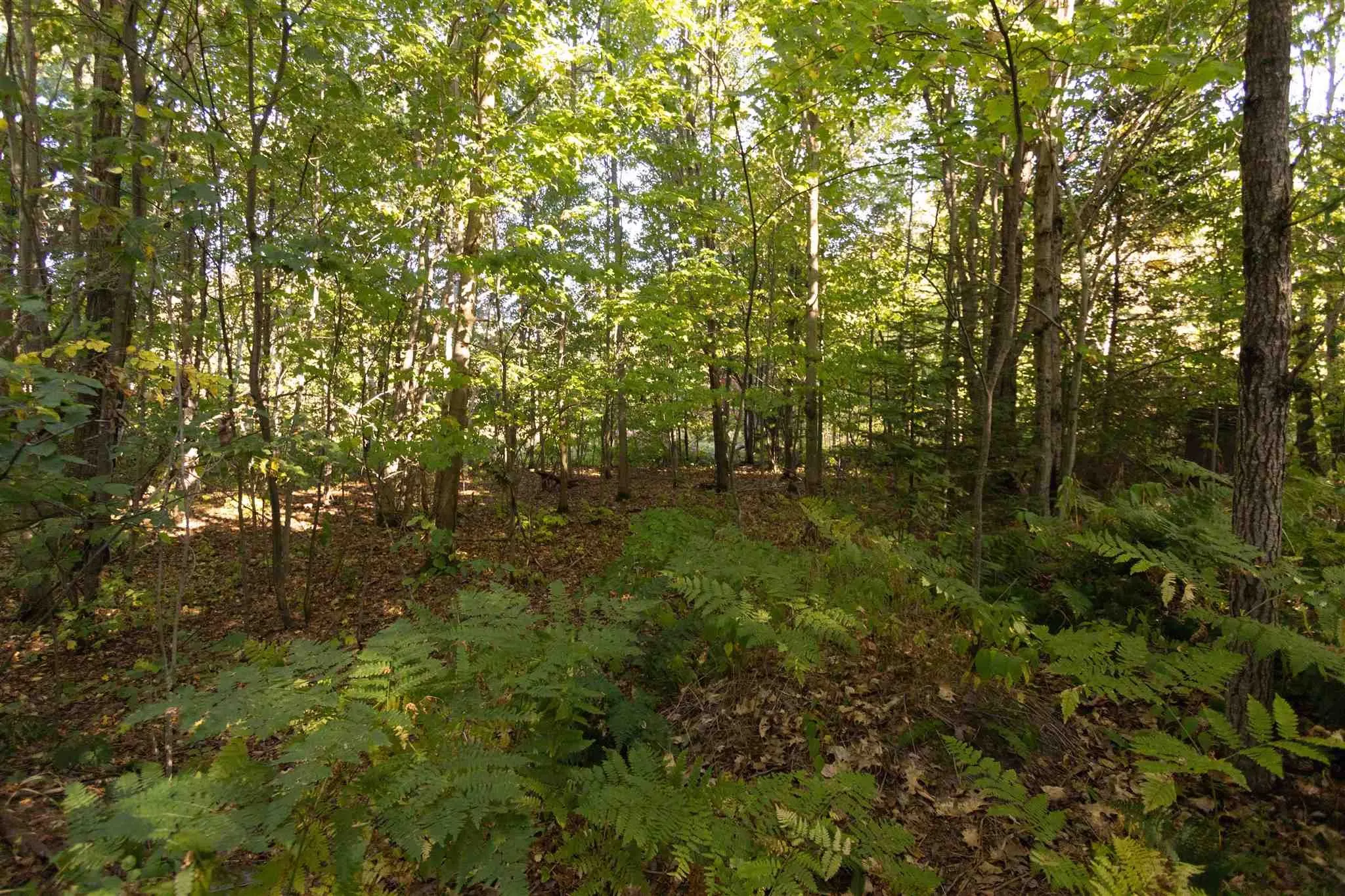 Lot 19 Nokomis Beach Road