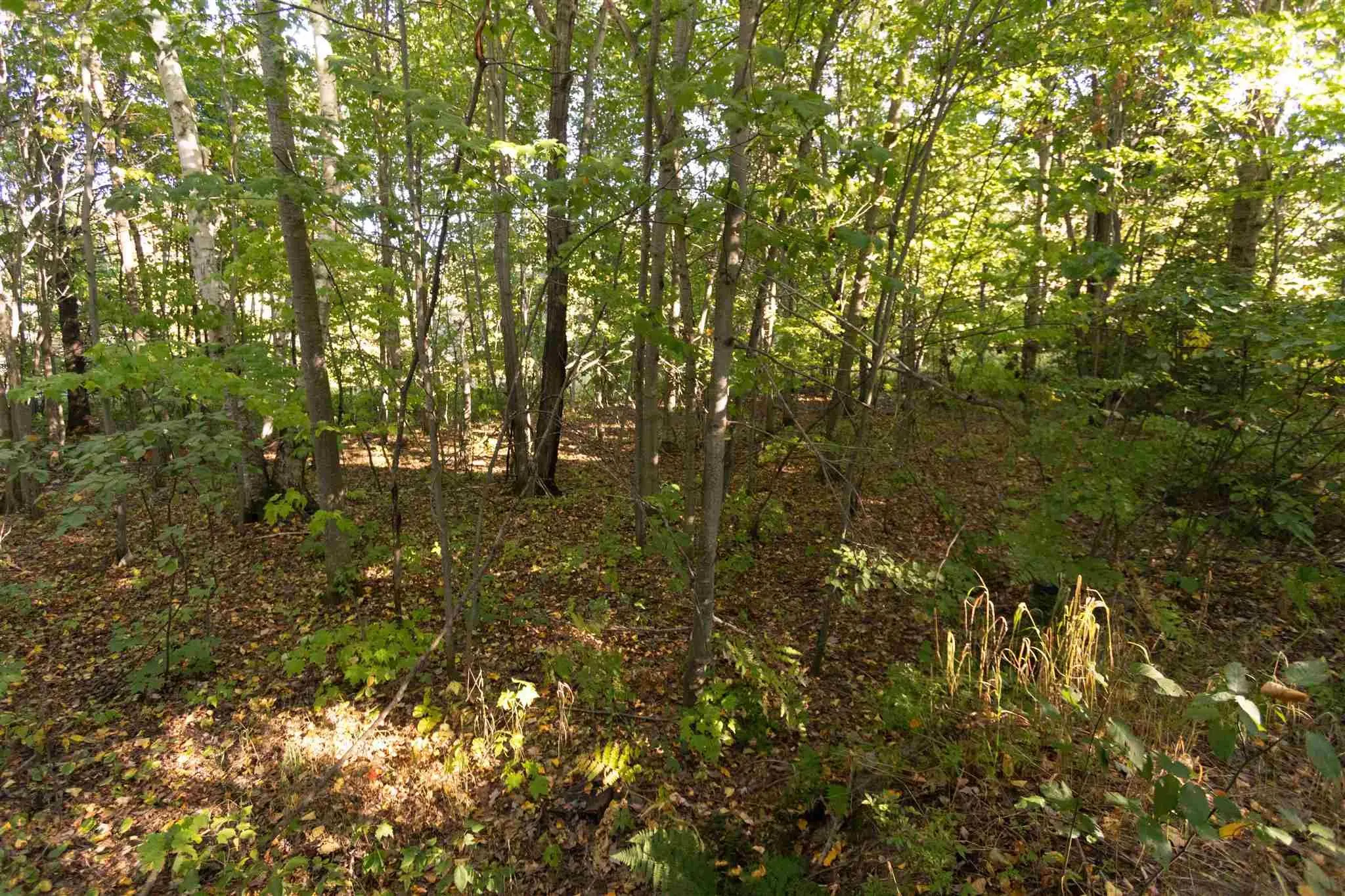 Lot 19 Nokomis Beach Road