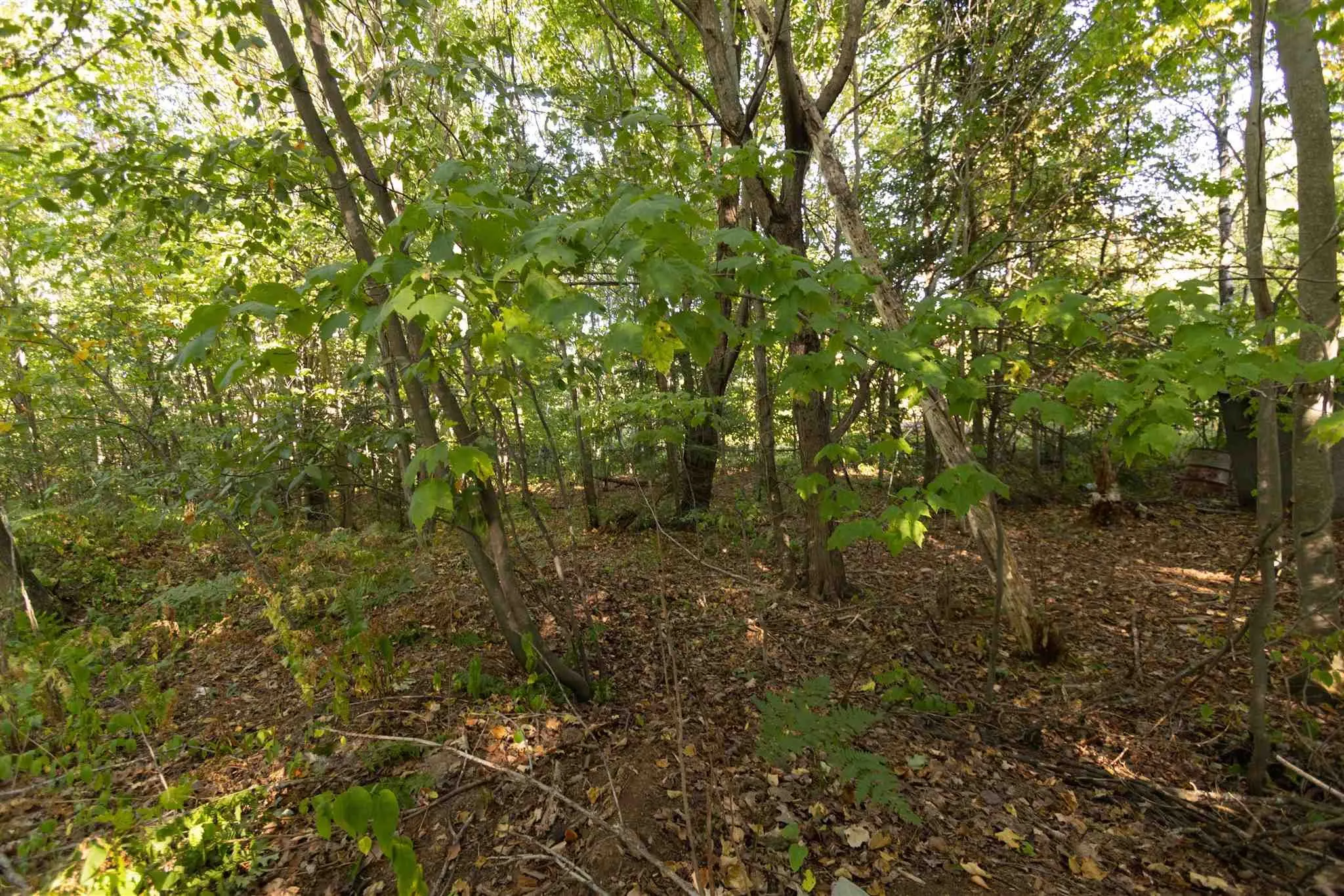 Lot 19 Nokomis Beach Road