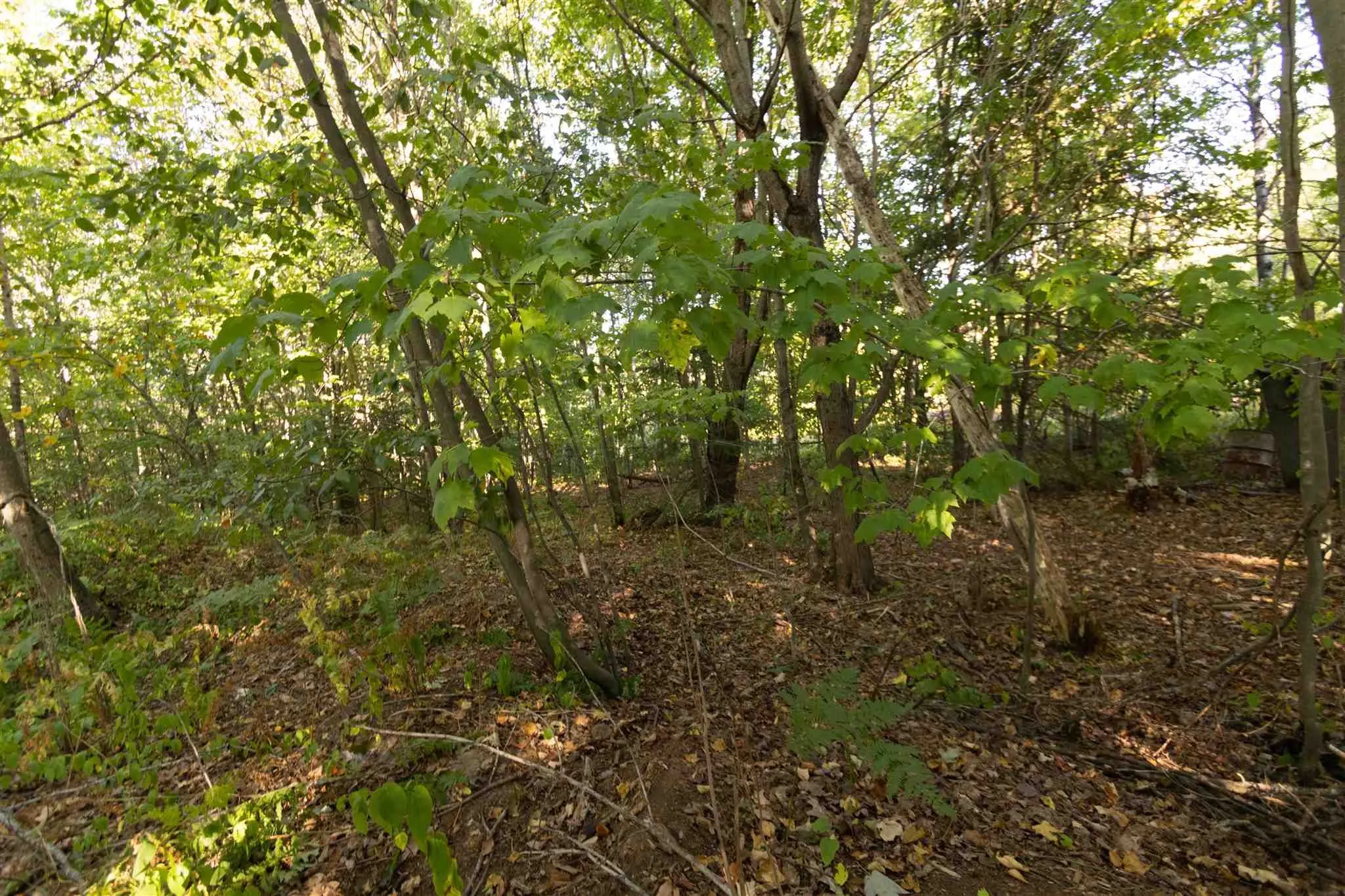 Lot 19 Nokomis Beach Road