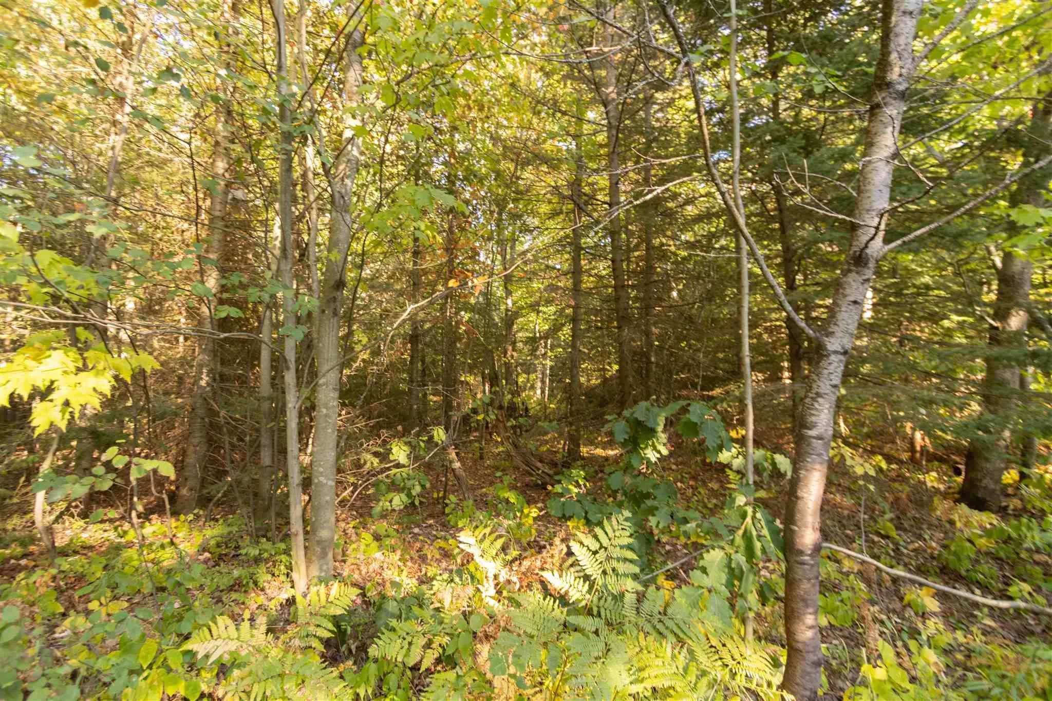 Lot 17 Nokomis Beach Road