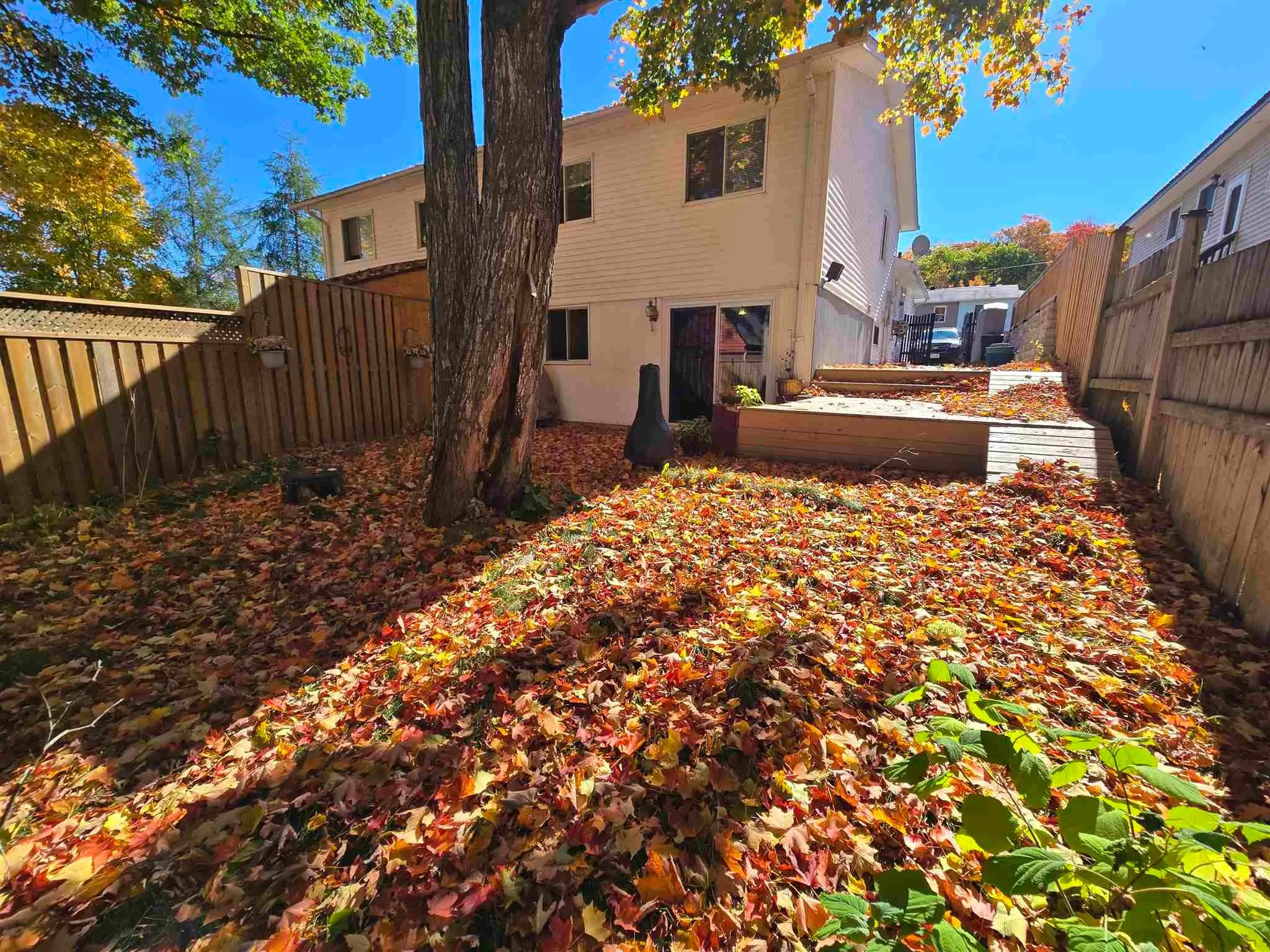 7 Feltz Road