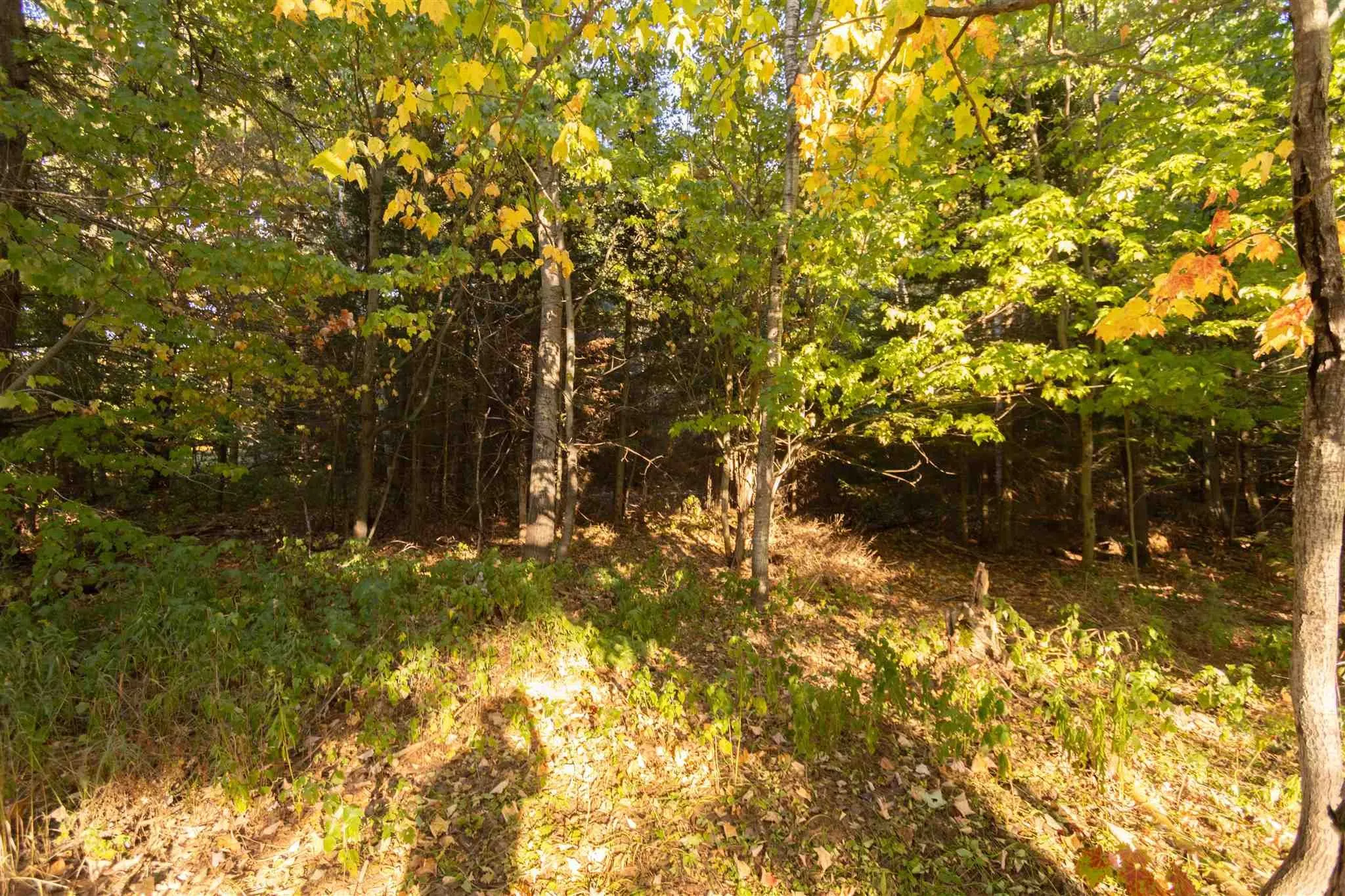 Lot 18 Nokomis Beach Road