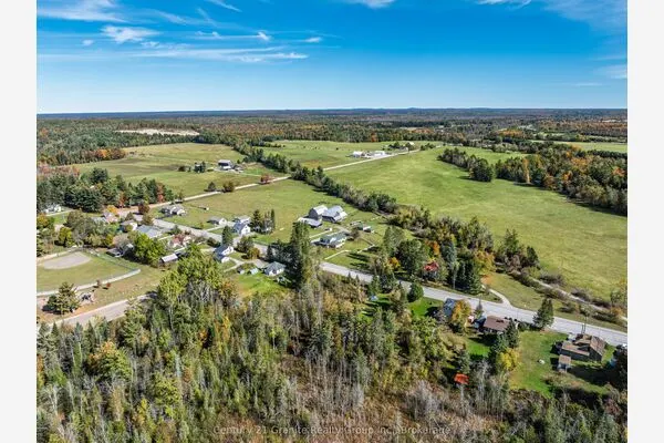 224 Burnt River Road