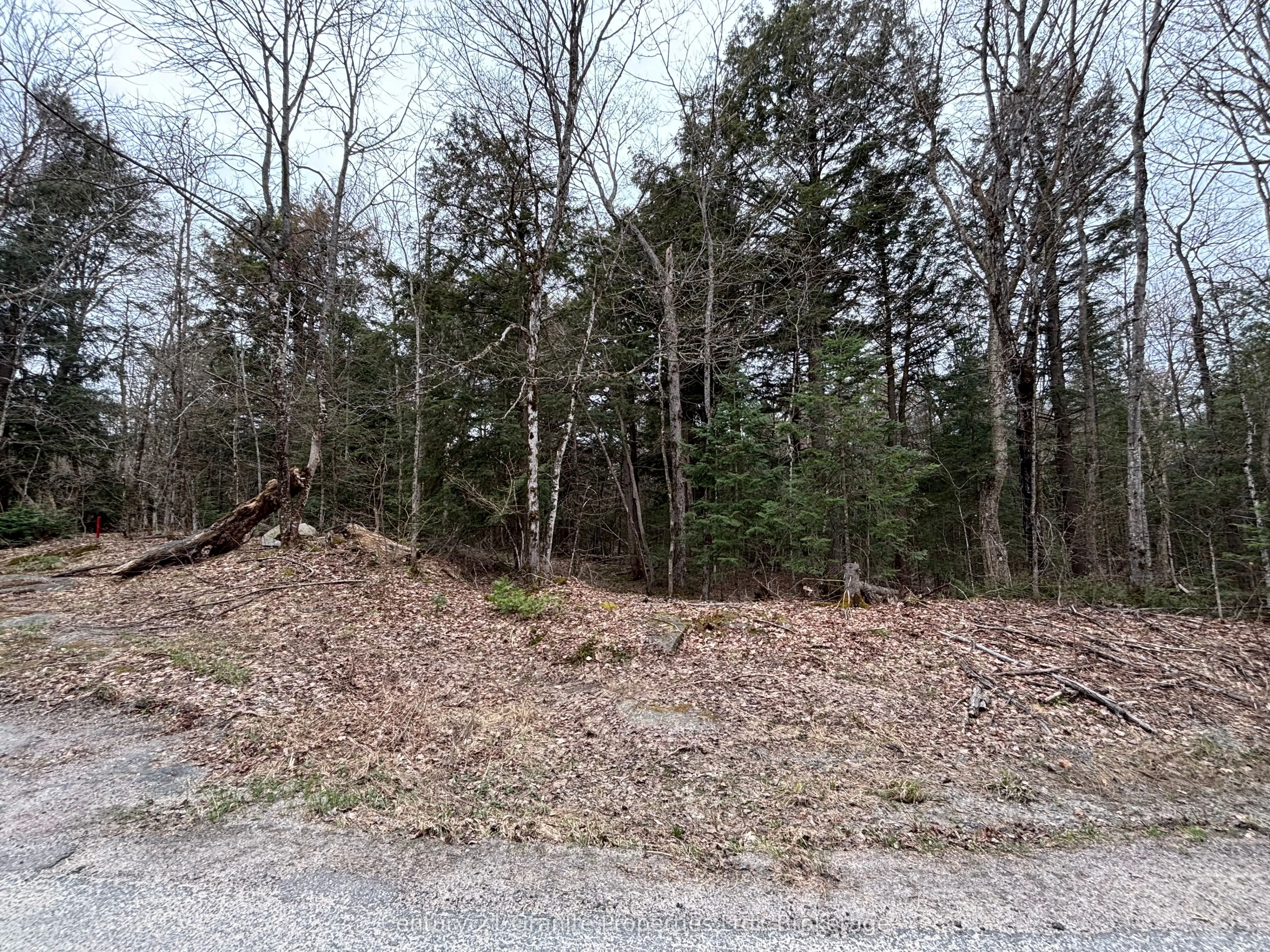 Lot 1 Loch Erne Road