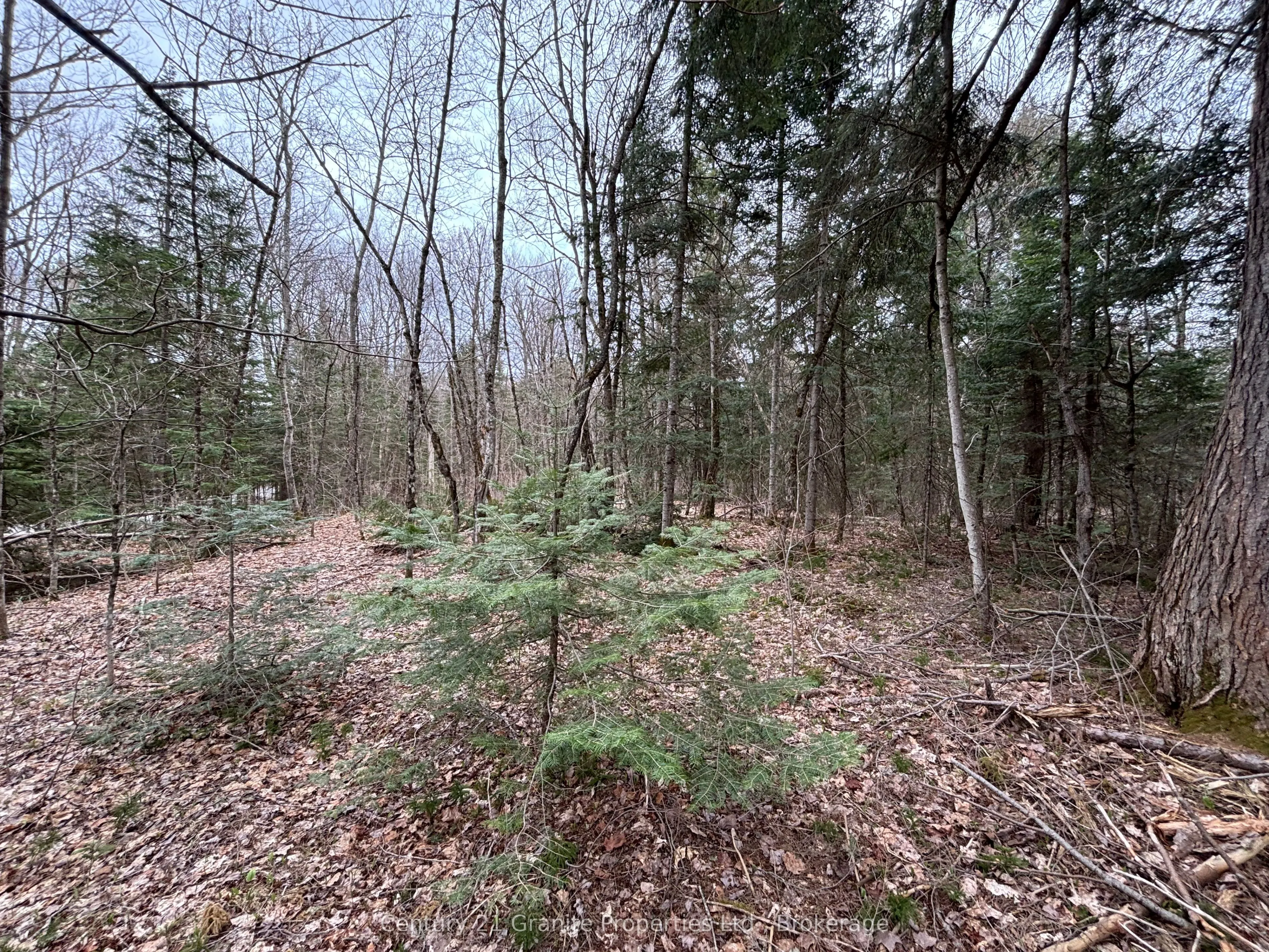 Lot 1 Loch Erne Road