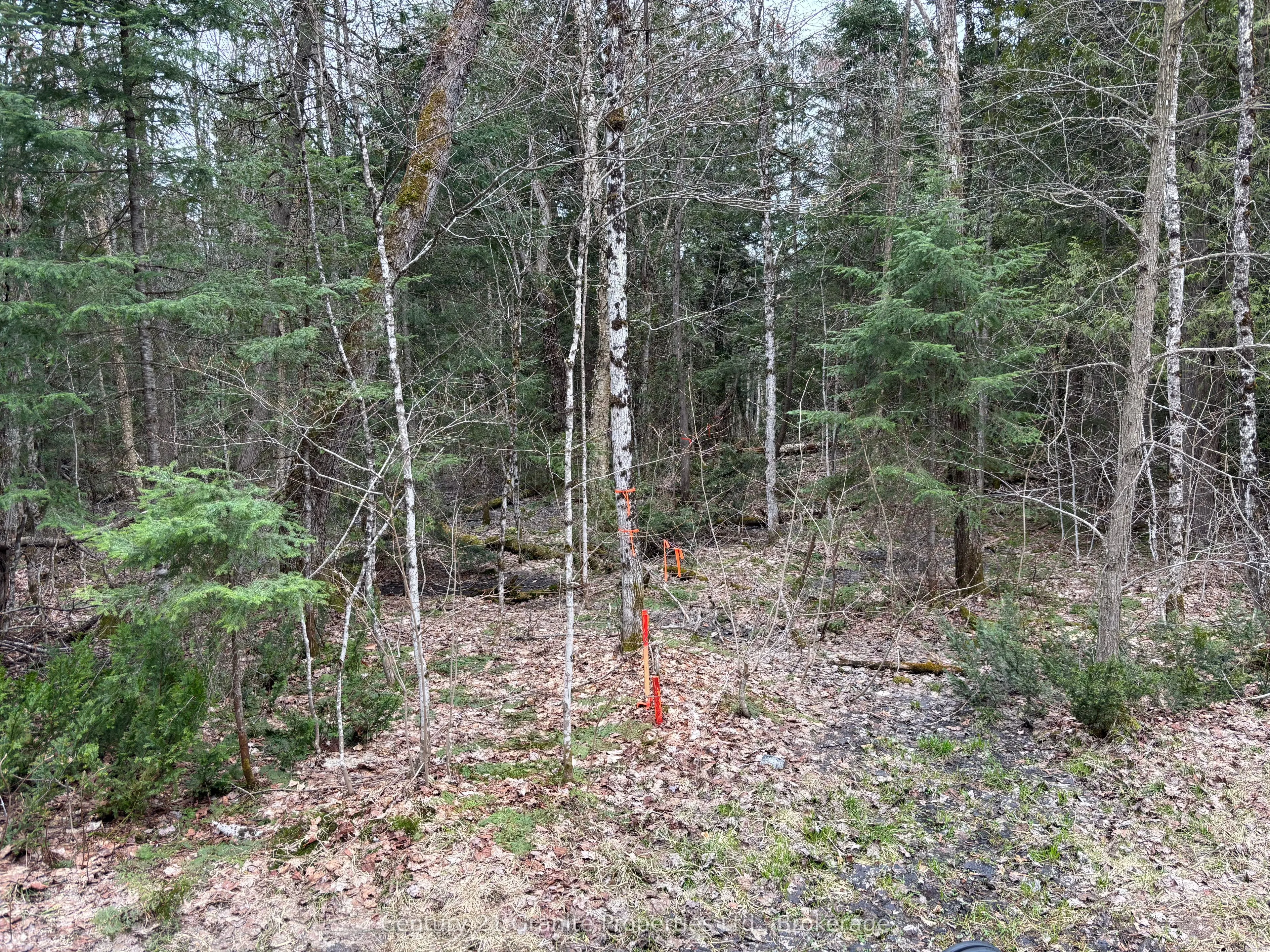 Lot 1 Loch Erne Road