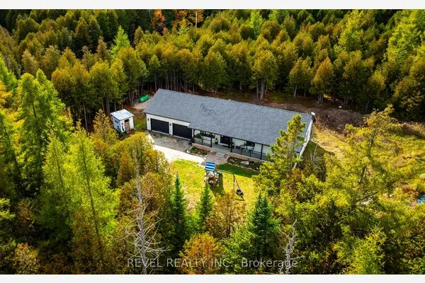 543795 Dutch Line