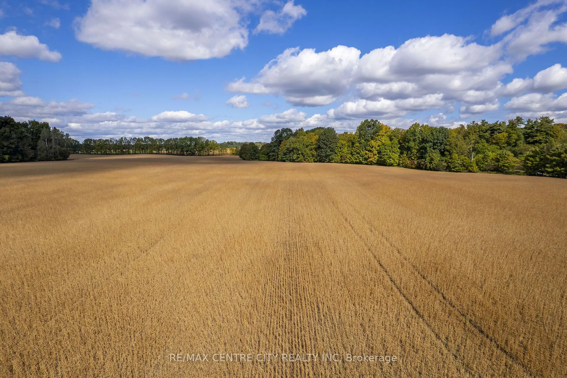 PT LT 113 Culloden Road