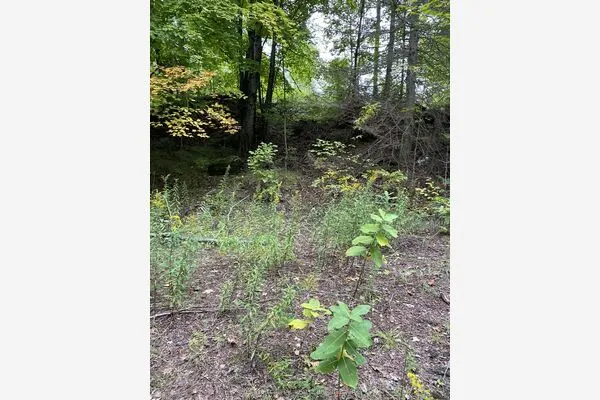 6055 Hwy 620