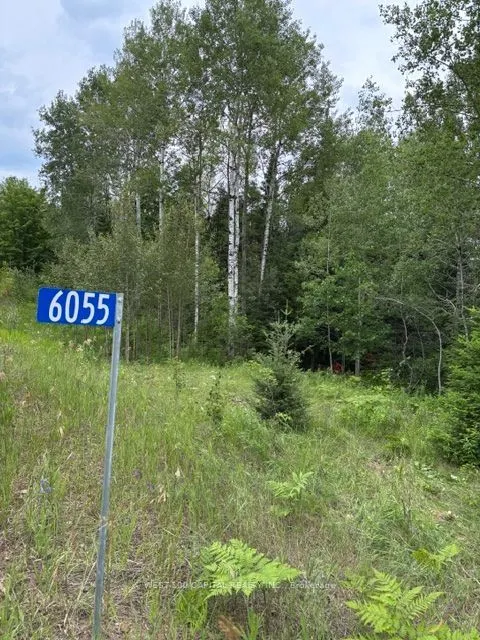 6055 Hwy 620