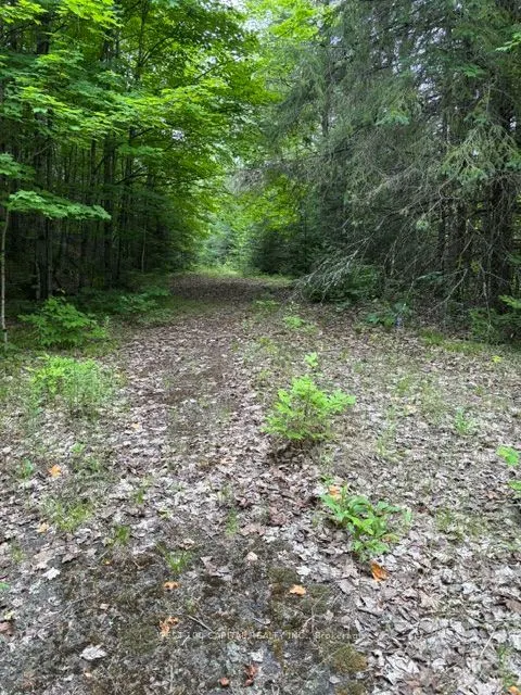 6055 Hwy 620