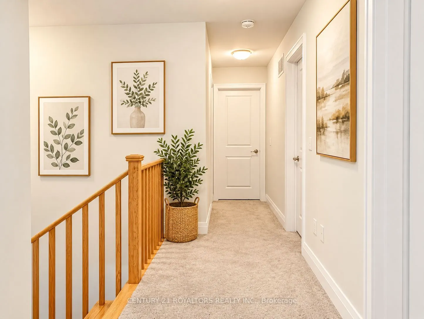 132 COLE Terrace