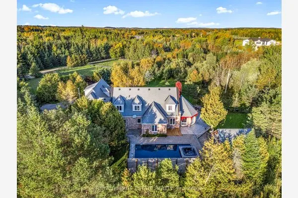 555086 Mono Amaranth Townline