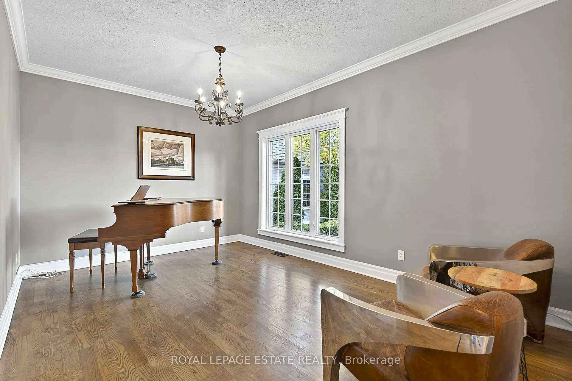 555086 Mono Amaranth Townline