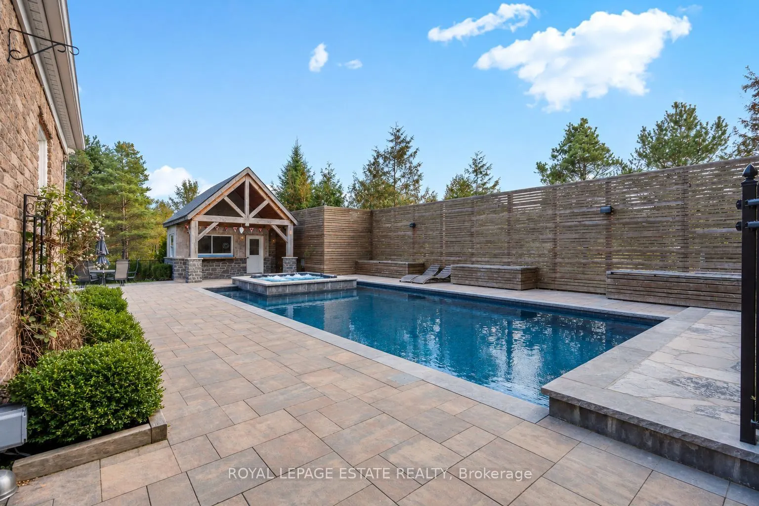 555086 Mono Amaranth Townline