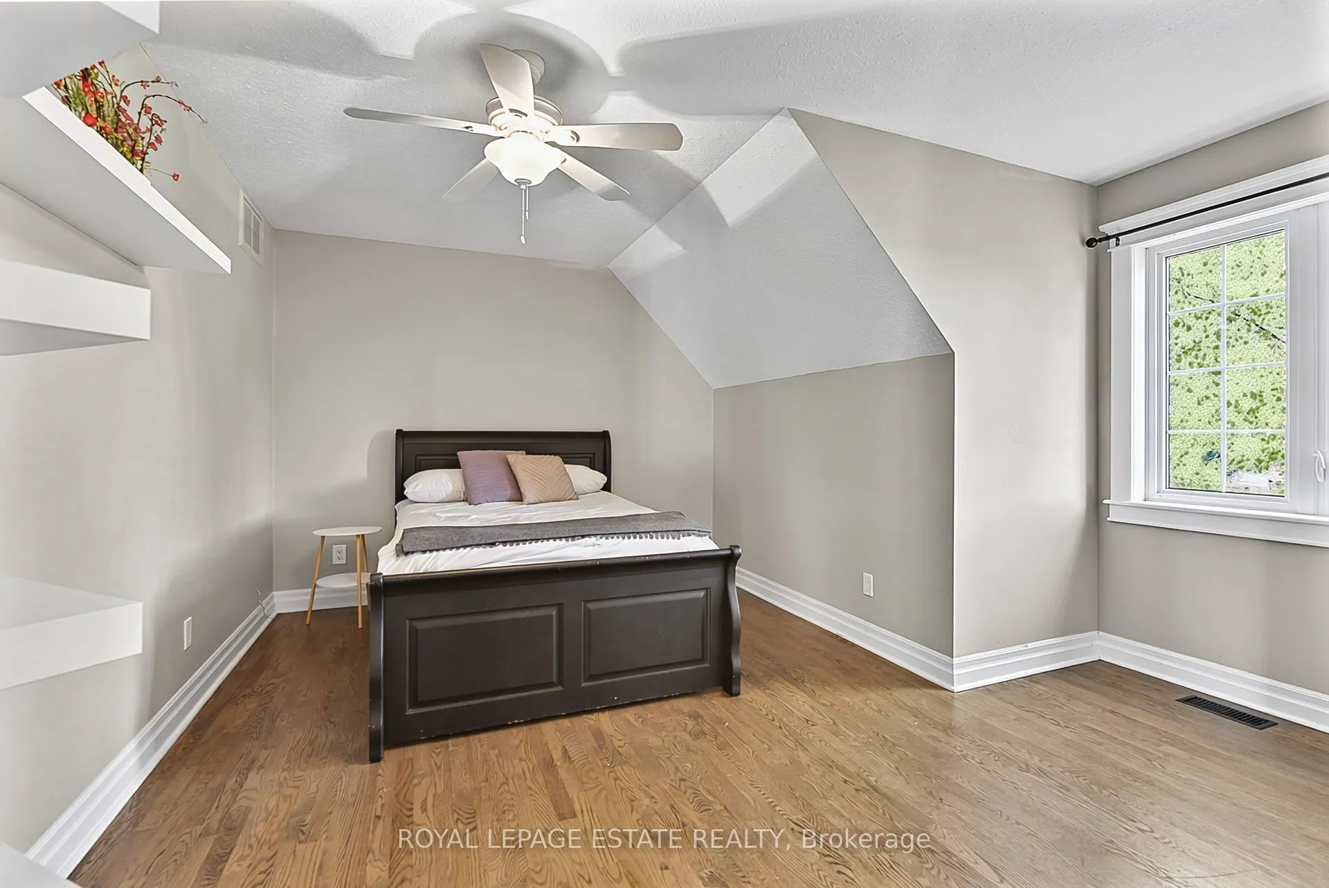 555086 Mono Amaranth Townline