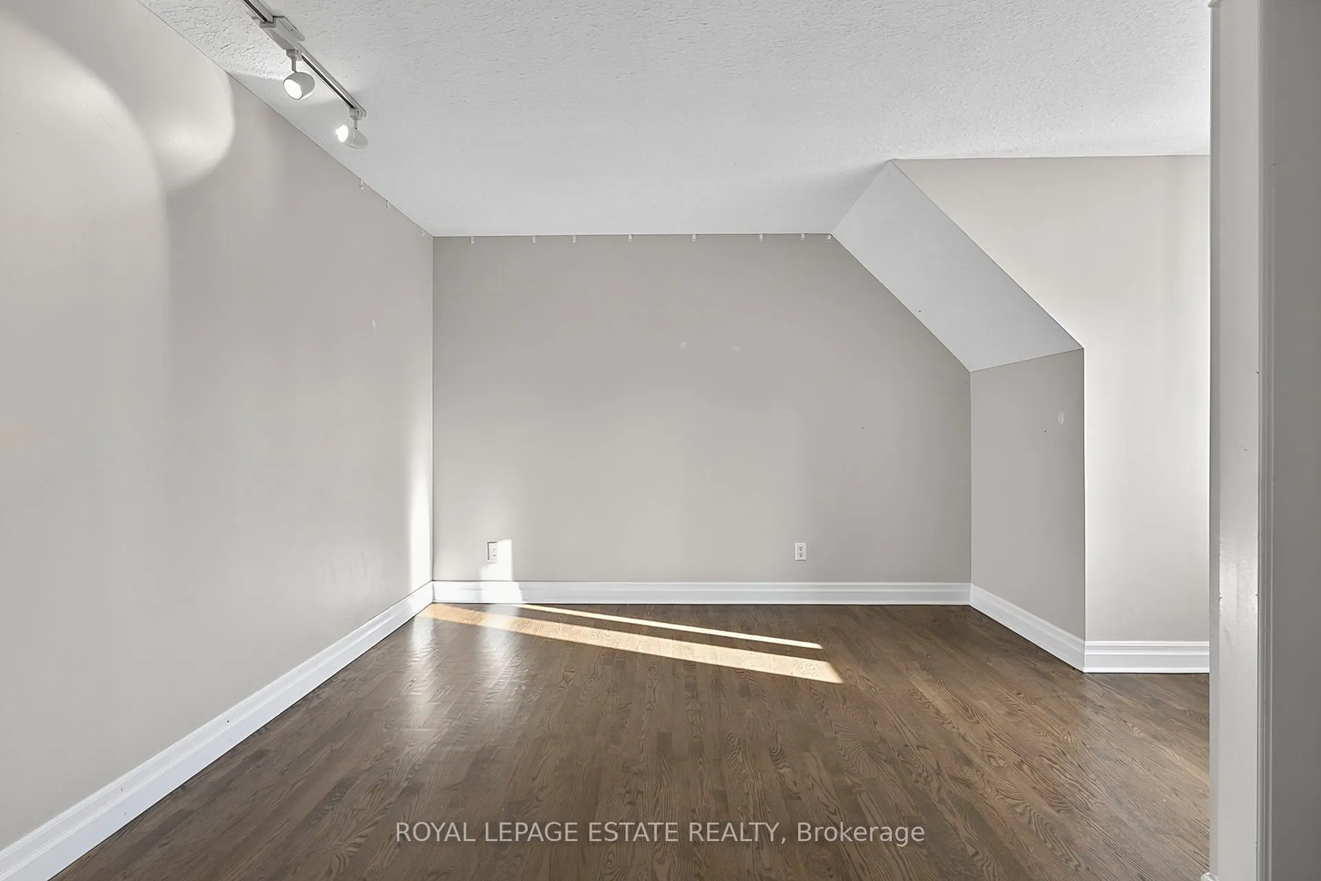 555086 Mono Amaranth Townline