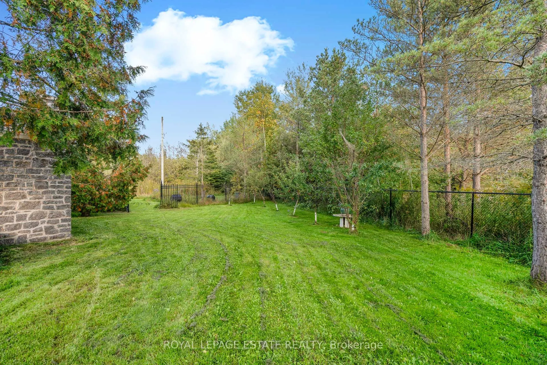 555086 Mono Amaranth Townline