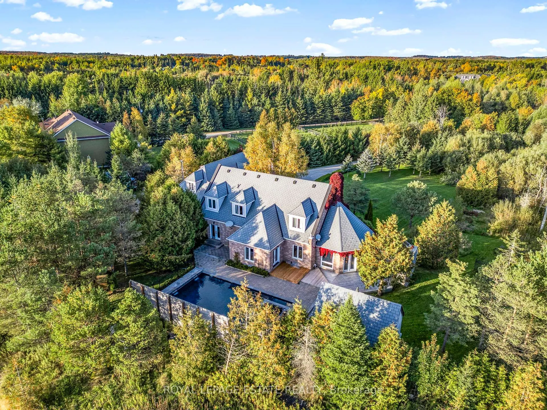 555086 Mono Amaranth Townline