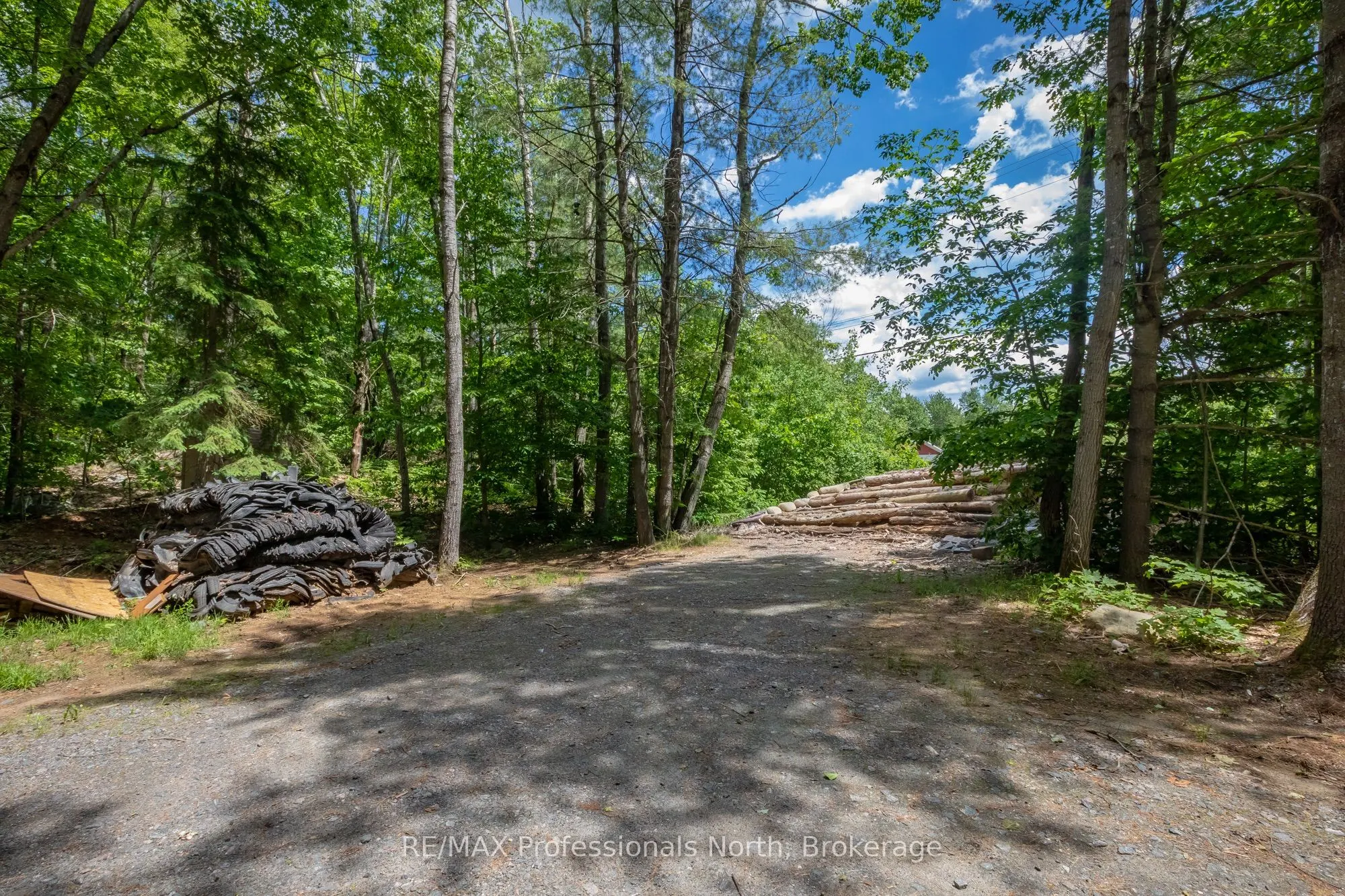 1219 MEDORA LAKE Road