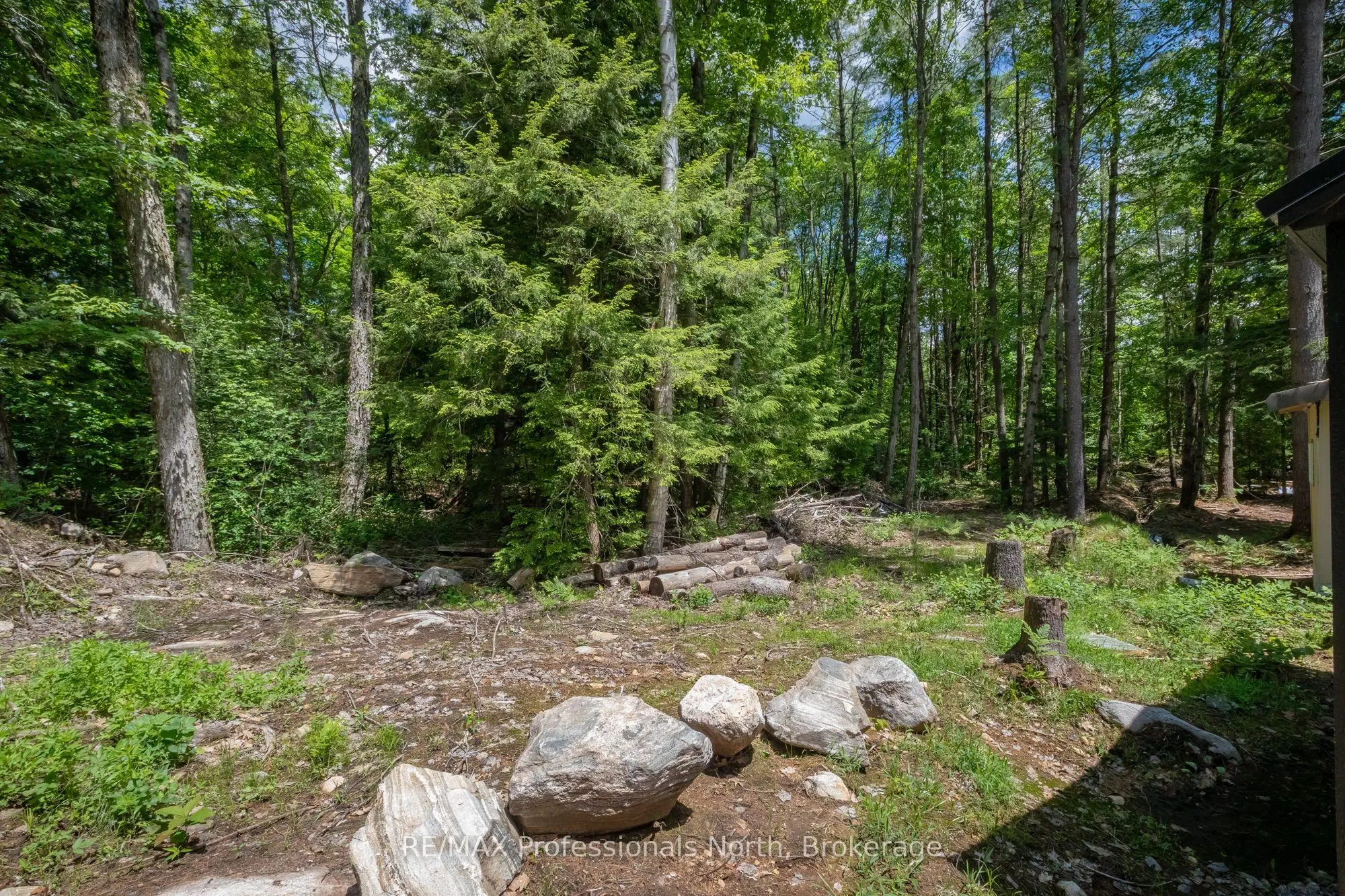 1219 MEDORA LAKE Road