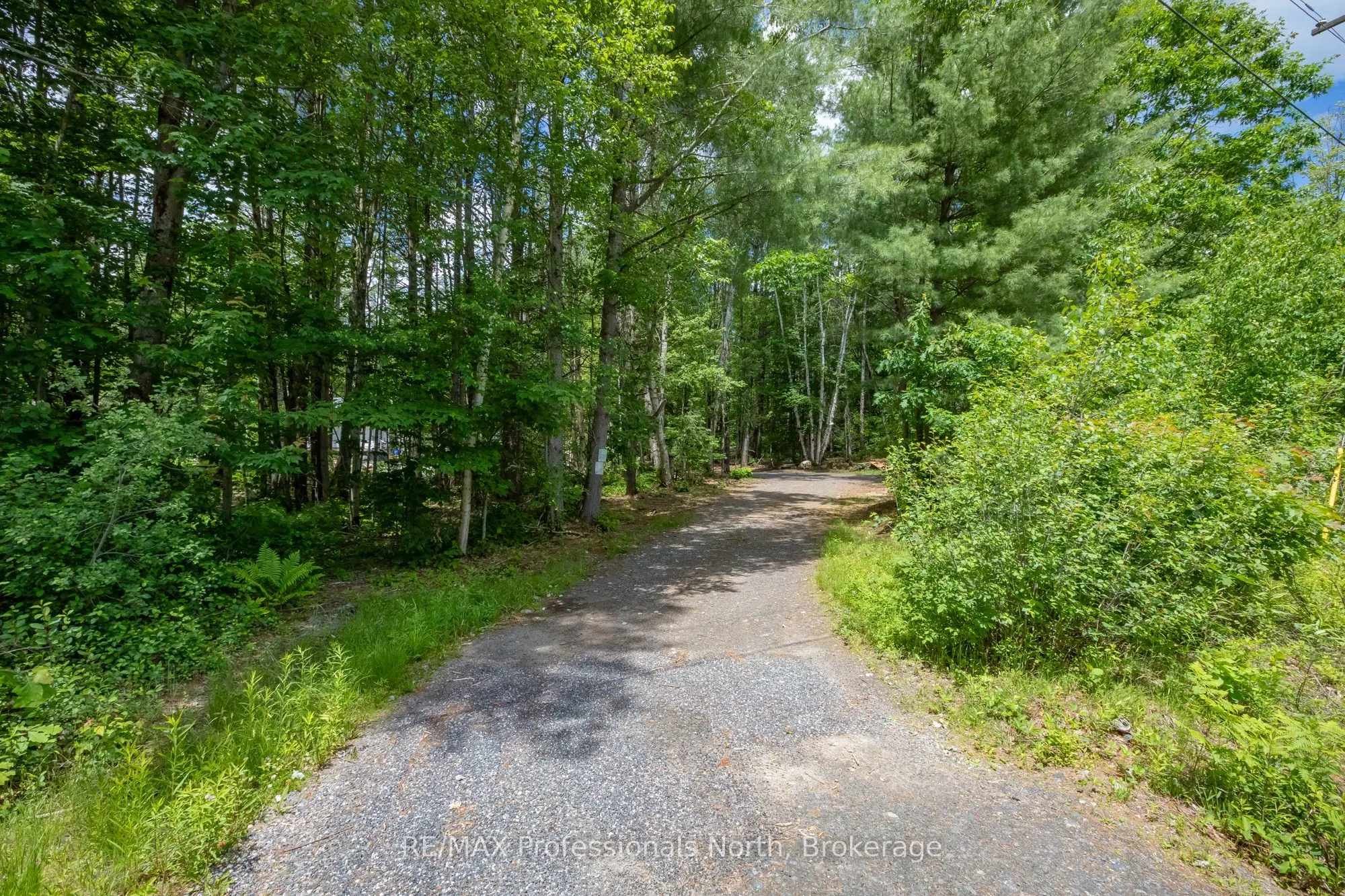 1219 MEDORA LAKE Road