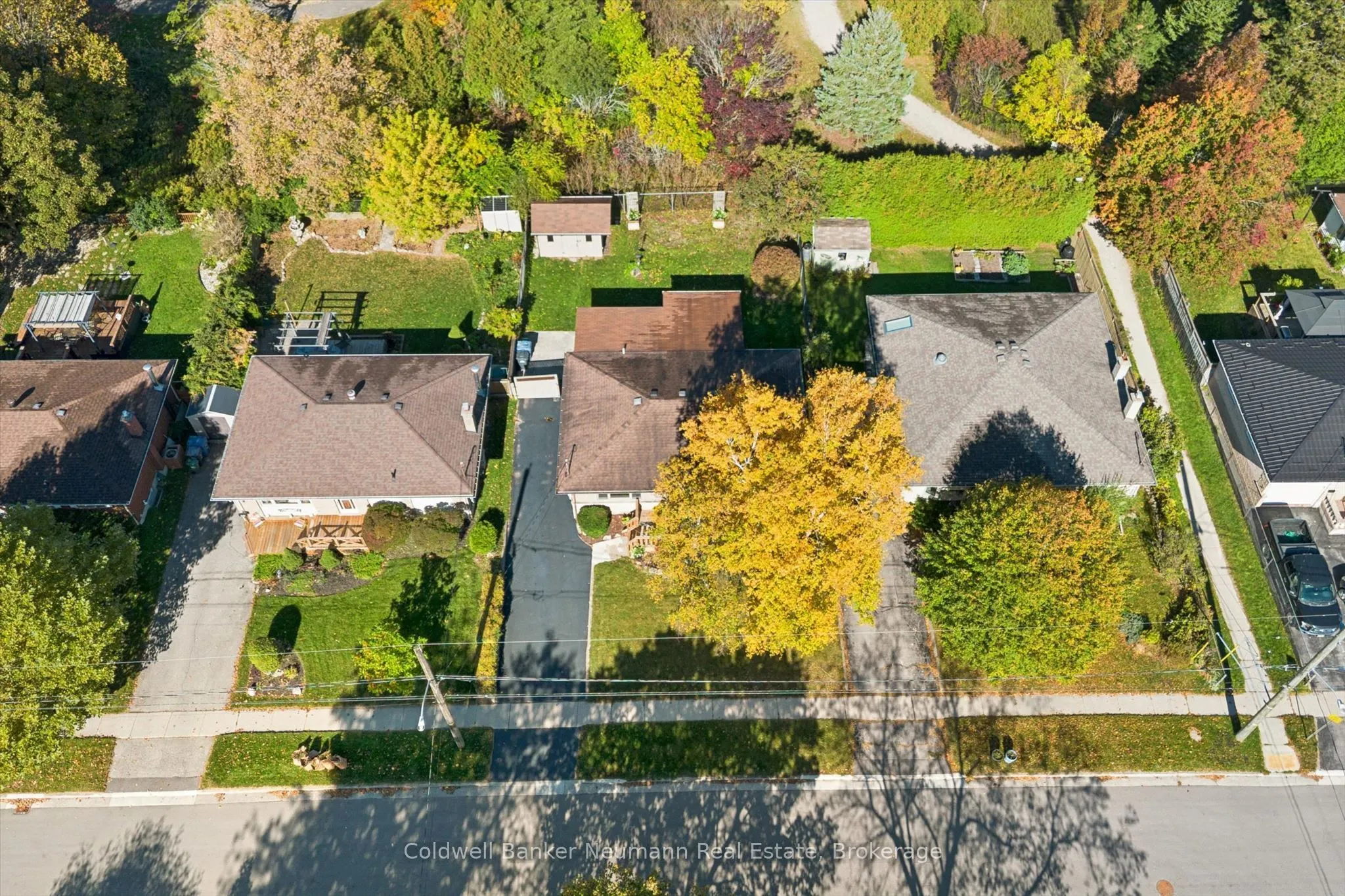 22 Carter Drive