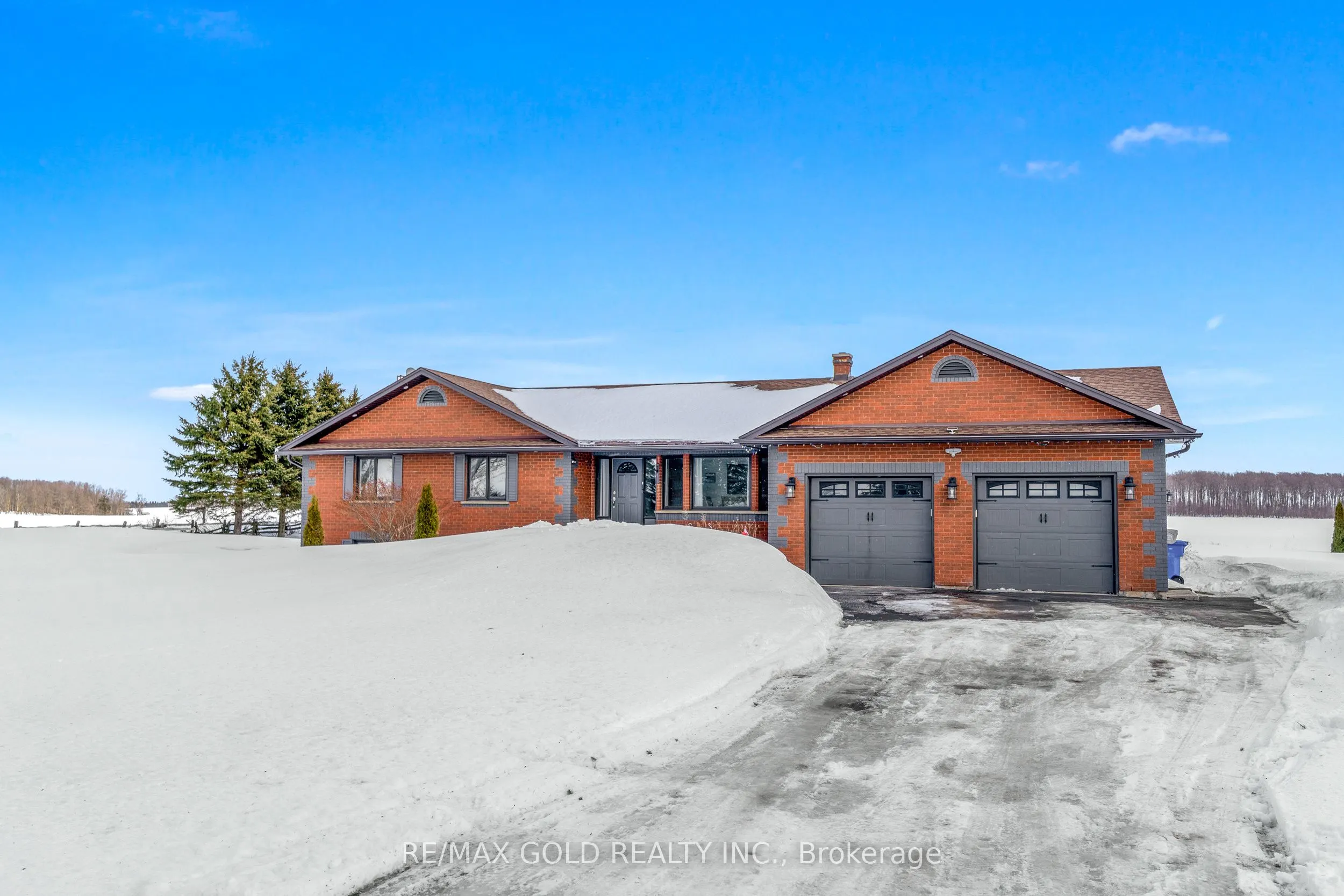 554421 Mono - Amaranth Townline